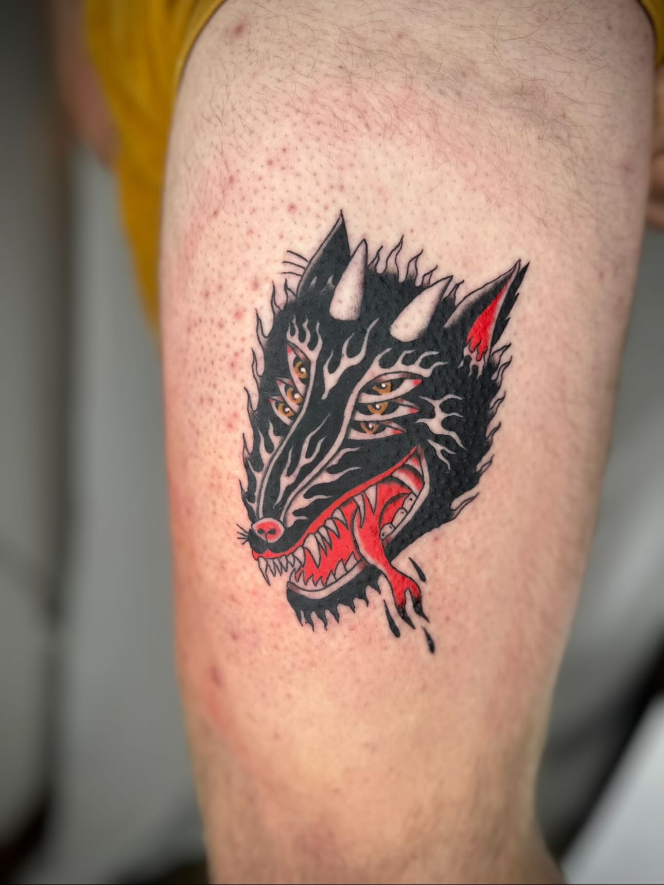 Wolf head American traditional tattoo on the forearm by rory