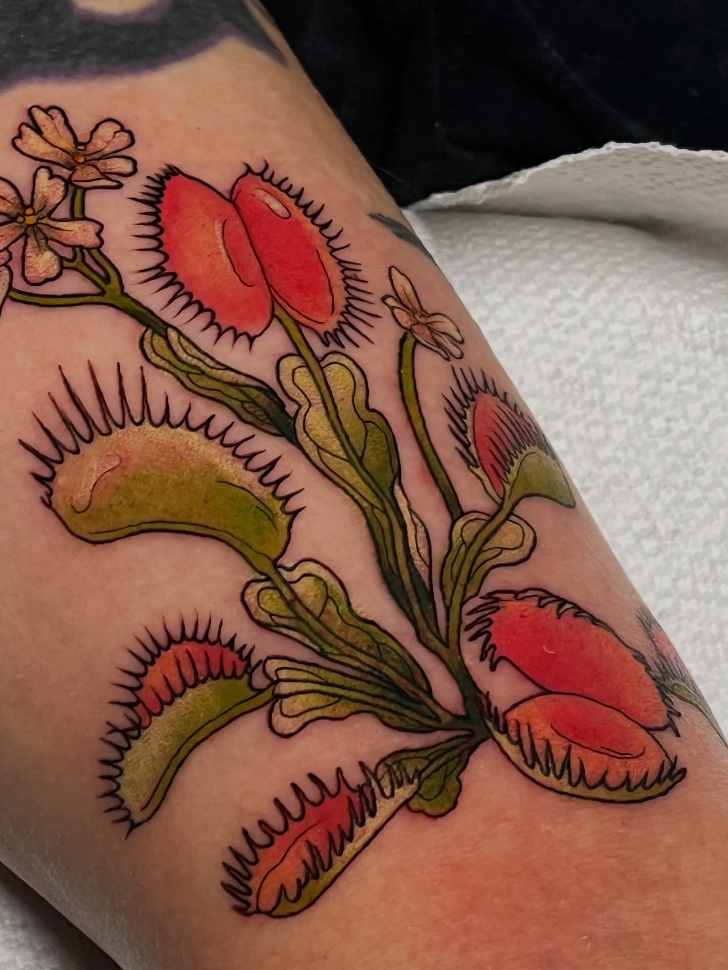 Venus flytrap American traditional tattoo on the forearm by Summer Machelle, Orange, California