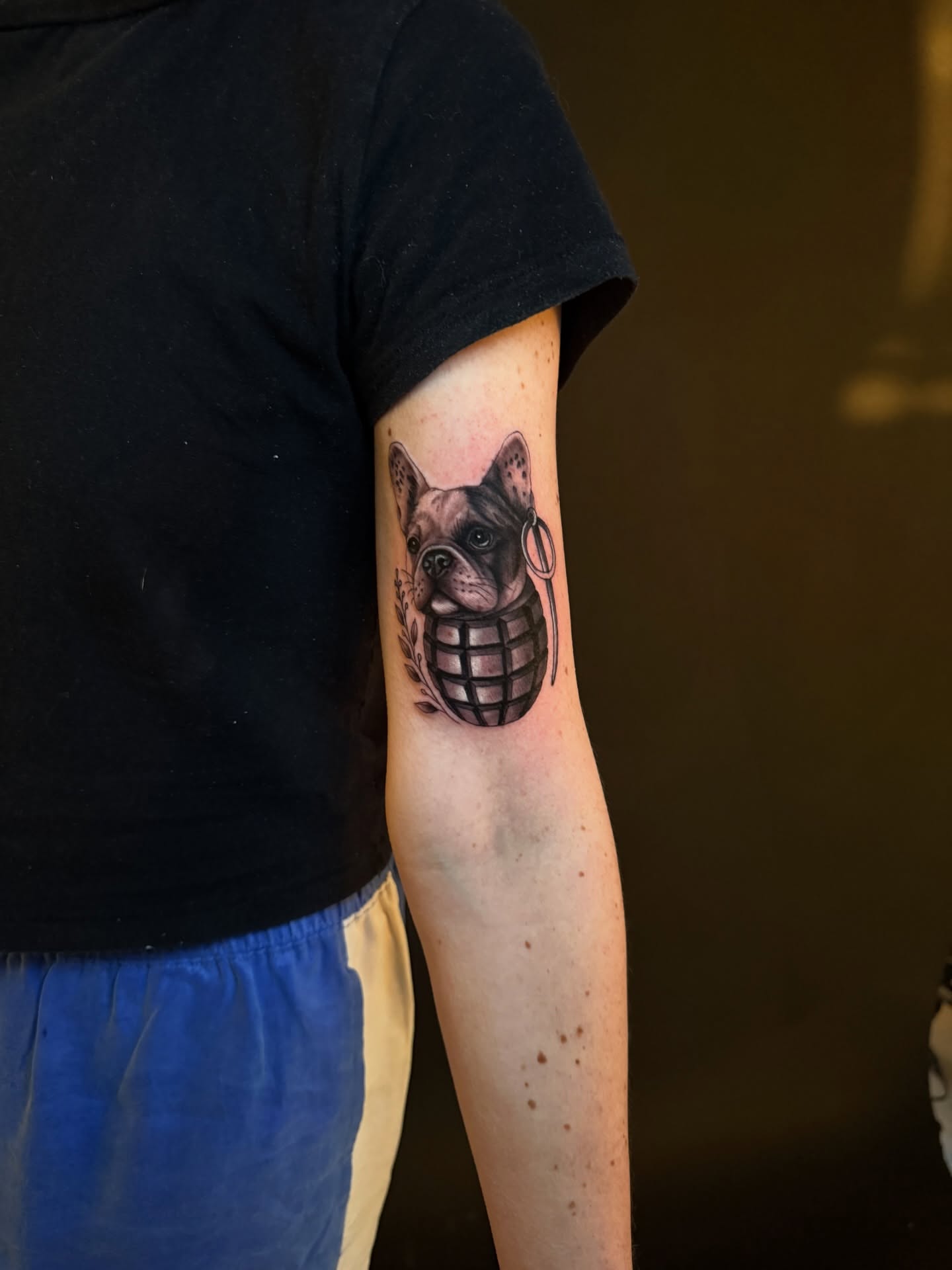 French bulldog with grenade realism tattoo on the forearm by Charlotte Tattoo Artist