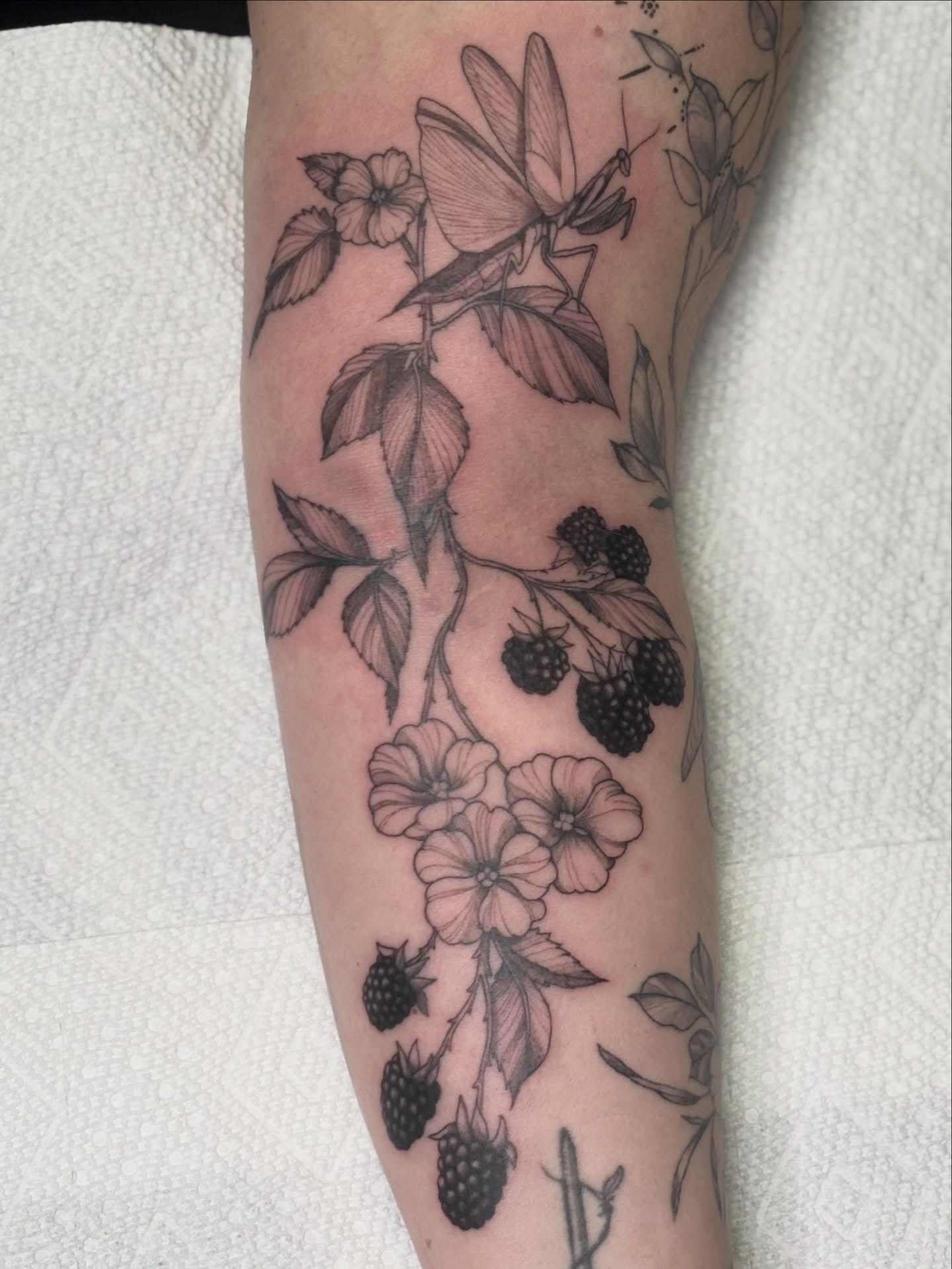 Botanical realism tattoo on the forearm by MJ Saunders