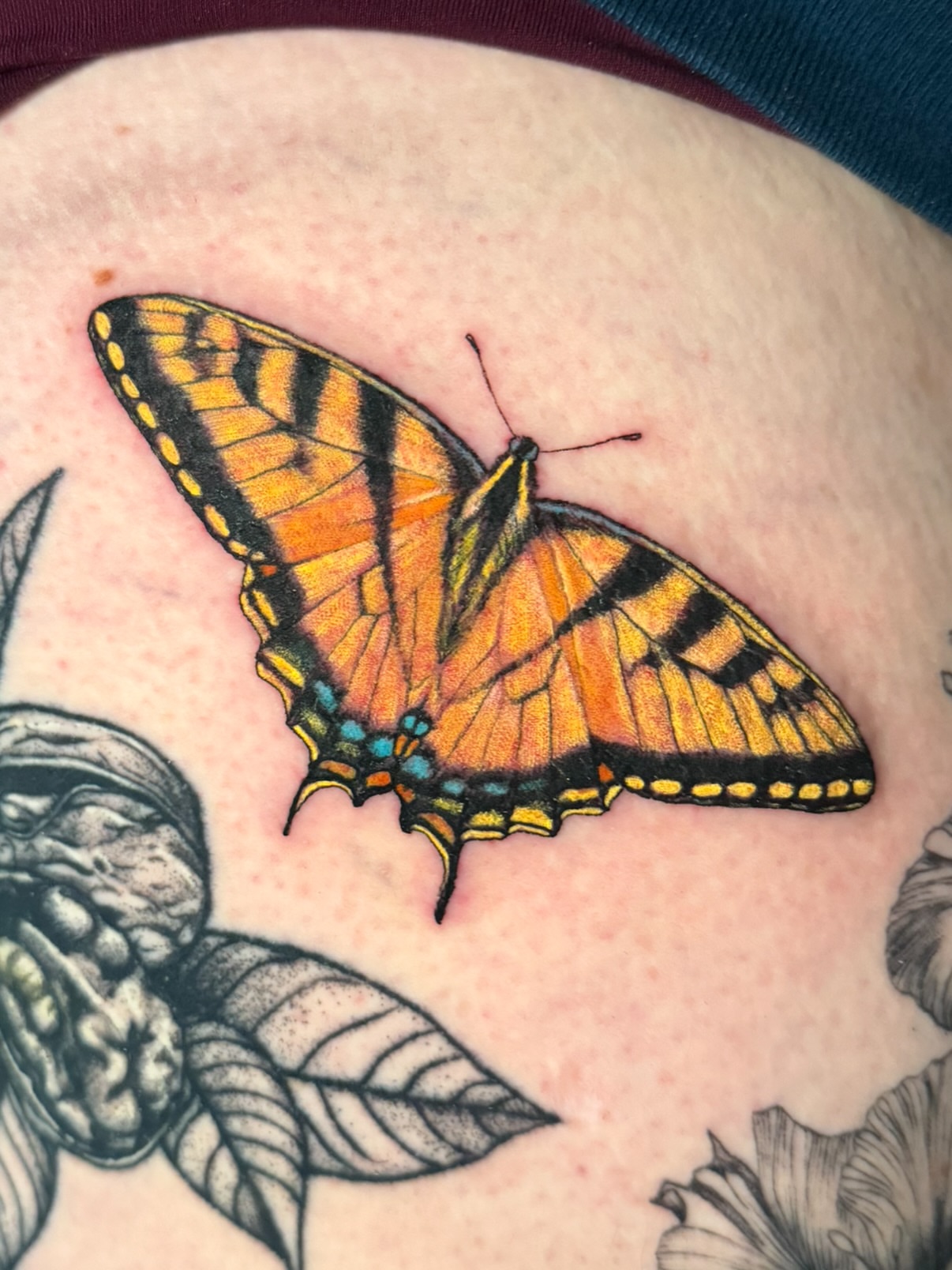 Butterfly realism tattoo on the torso by Christel Perkins