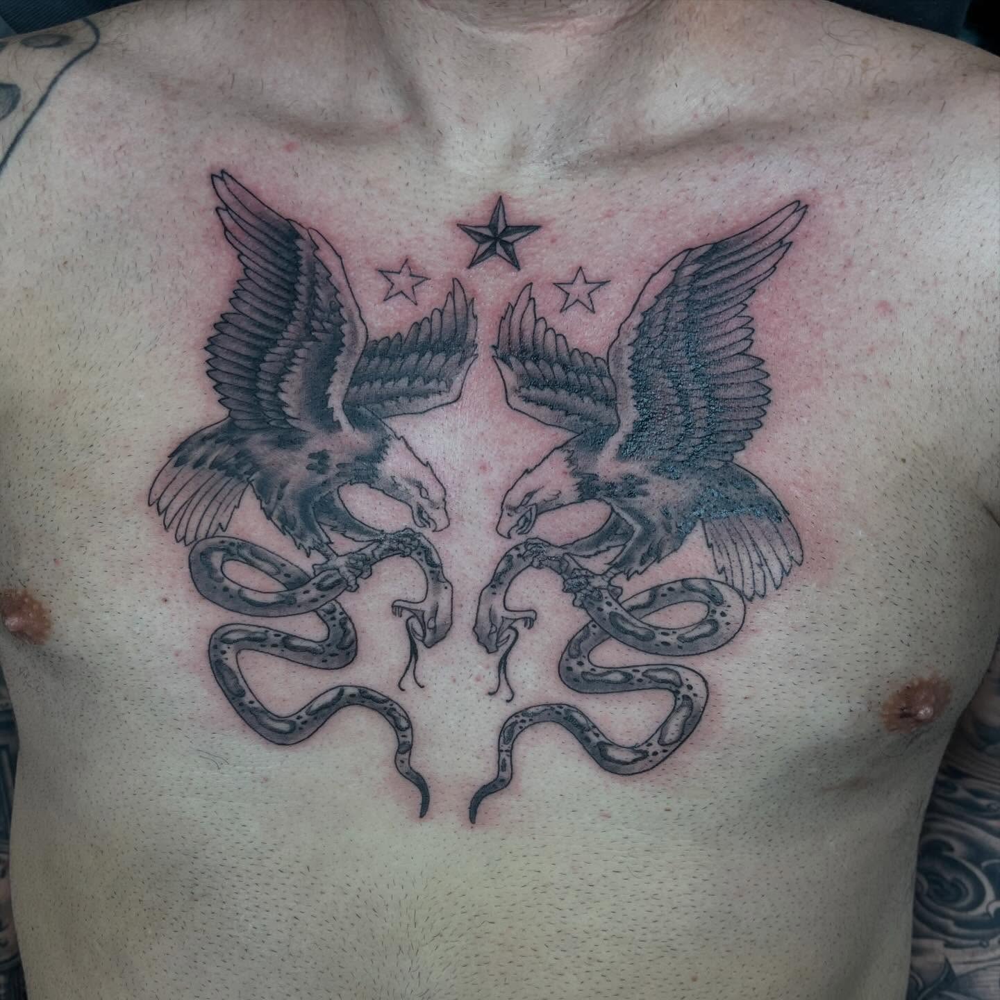 Eagles and snakes black and grey tattoo on the chest by scottyjstattoos