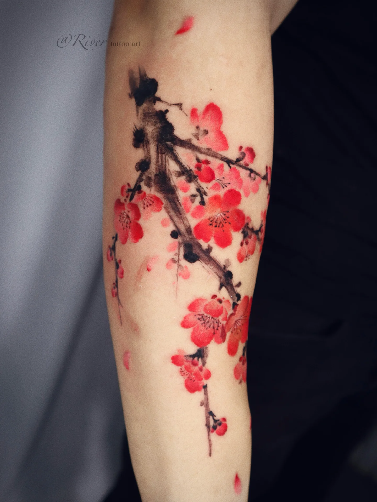 Cherry blossoms watercolor tattoo on the forearm by River