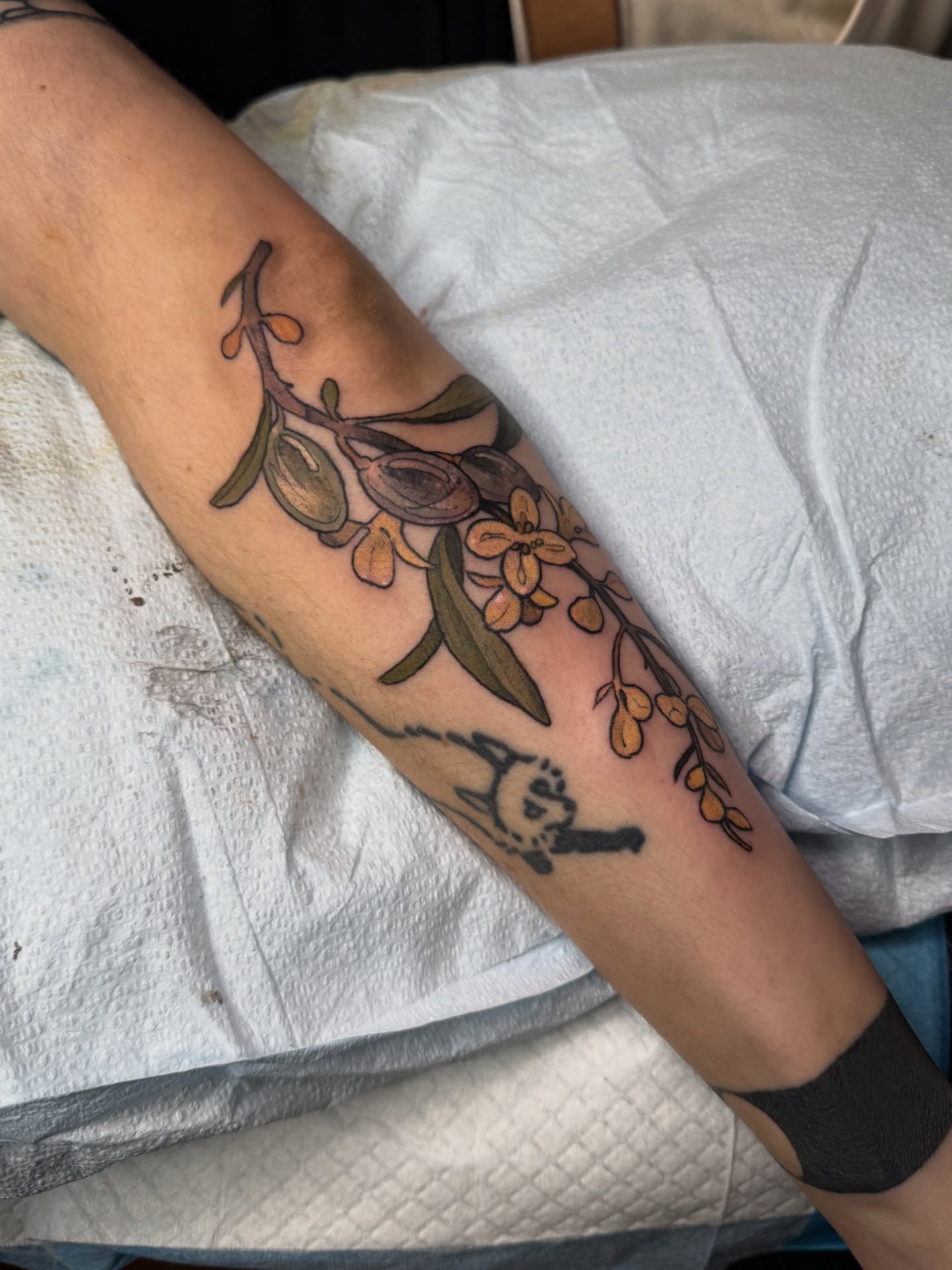 Tattoo by @scaledxwingstattoo โ neo_traditional, realism