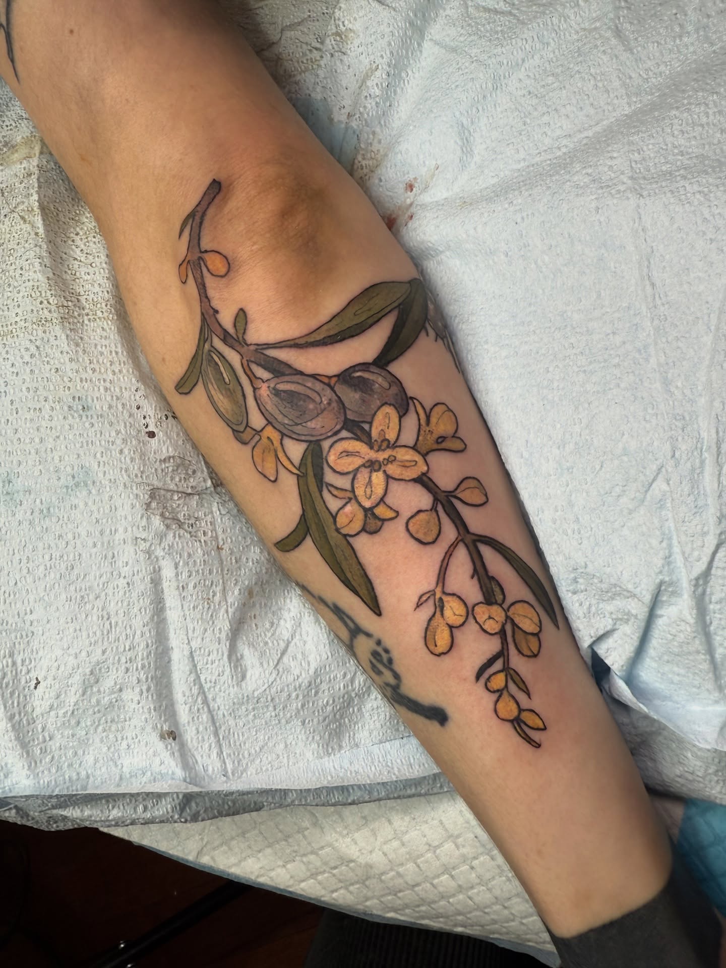 Tattoo by @scaledxwingstattoo โ realism