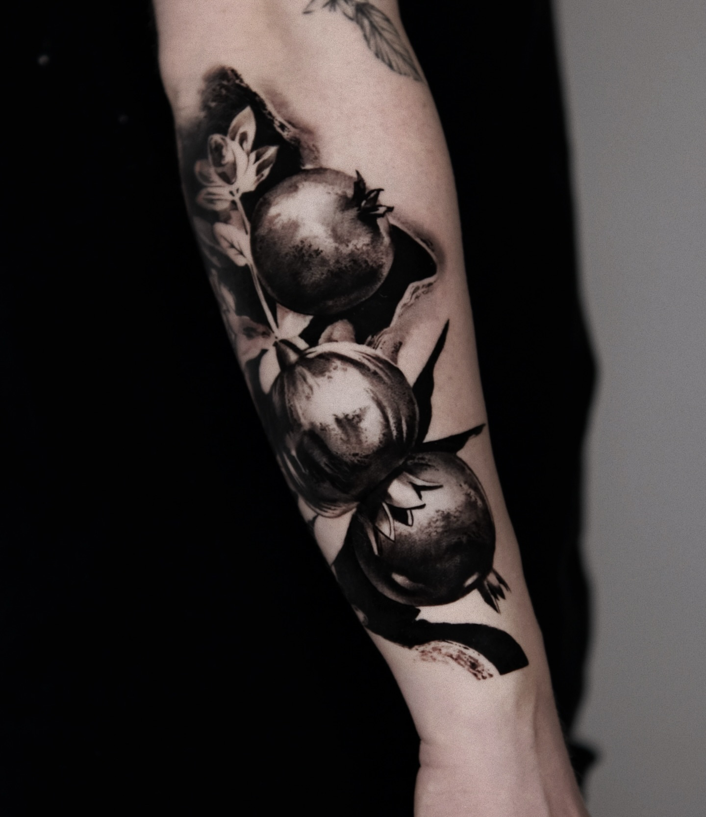Pomegranates realism tattoo on the forearm by 𝐌𝐀𝐊𝐒𝐈𝐌 𝐏𝐀𝐓𝐑𝐈𝐂𝐊