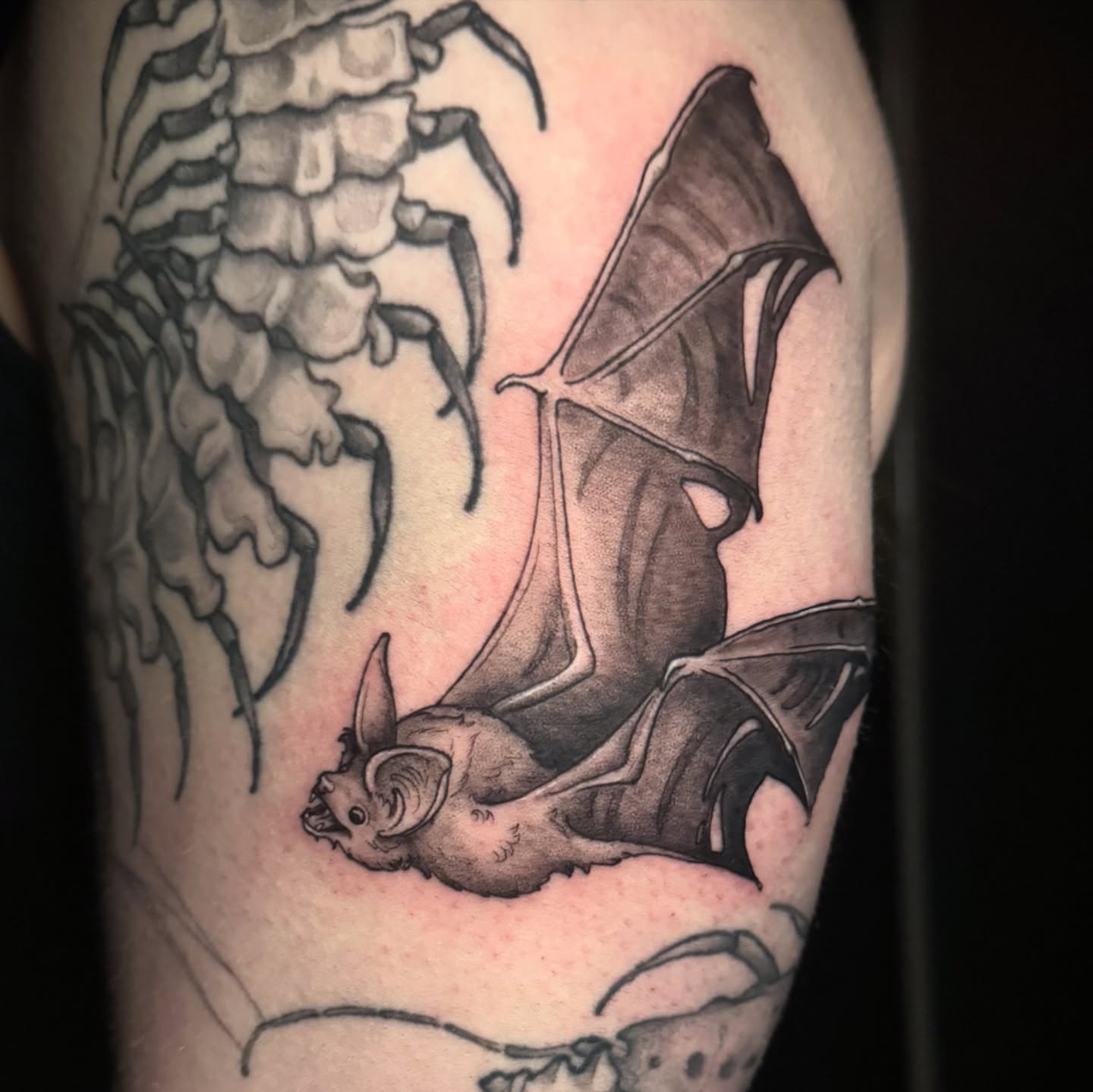 Bat and skeleton realism tattoo on the forearm by M A D I E I N S P A N I E R π¦ tattoos