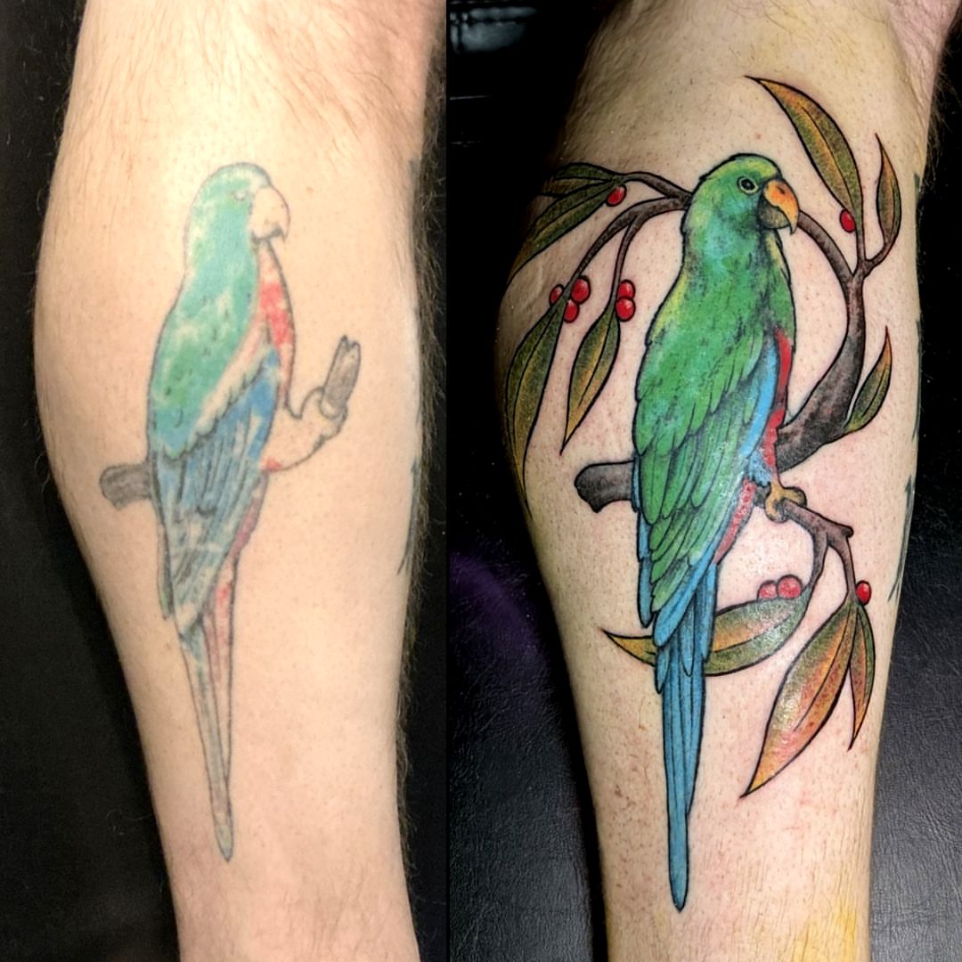Parrot realism tattoo on the forearm by Dave Chercourt, Willoughby, Ohio