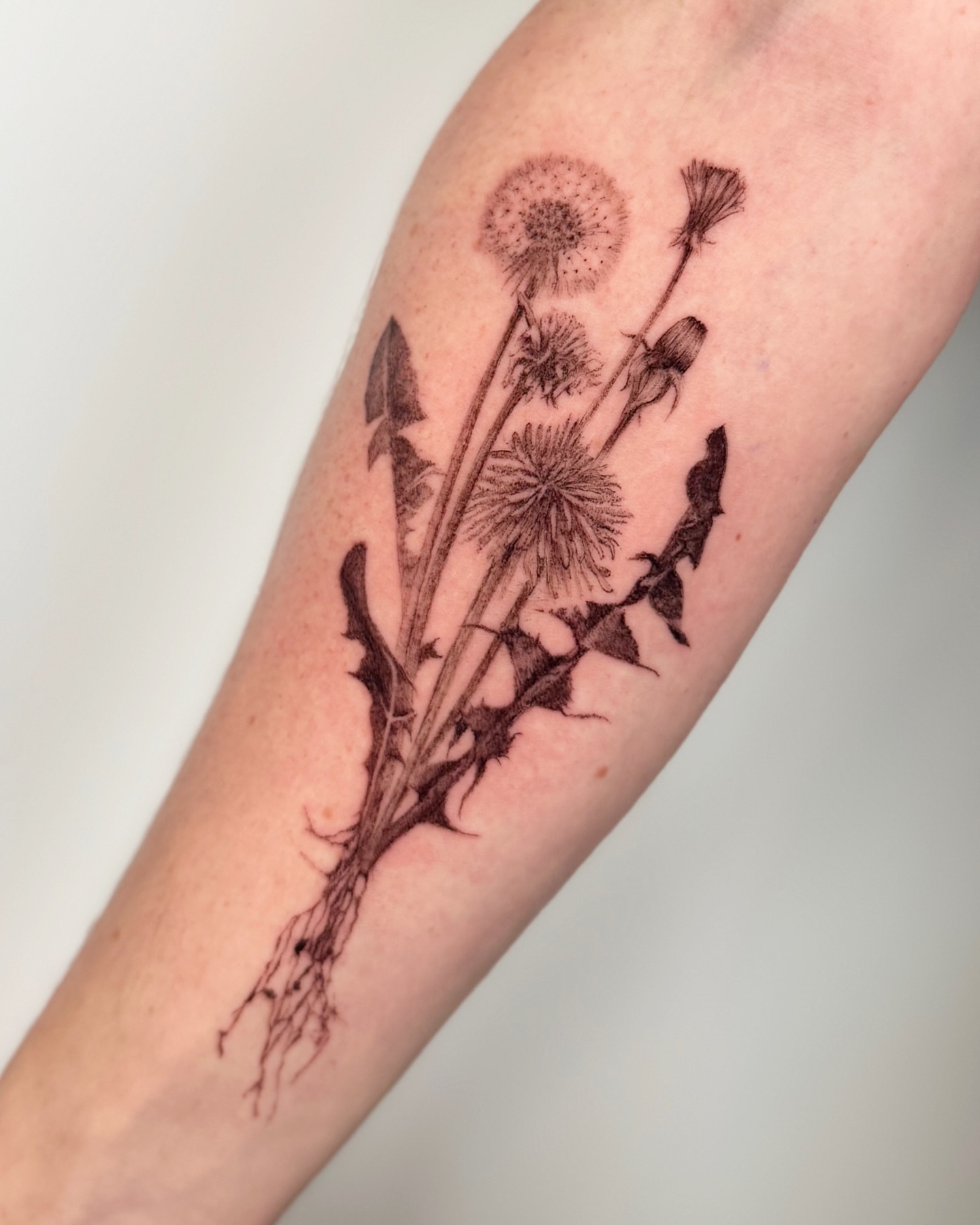 Tattoo by @redrooktattoo — black_and_grey