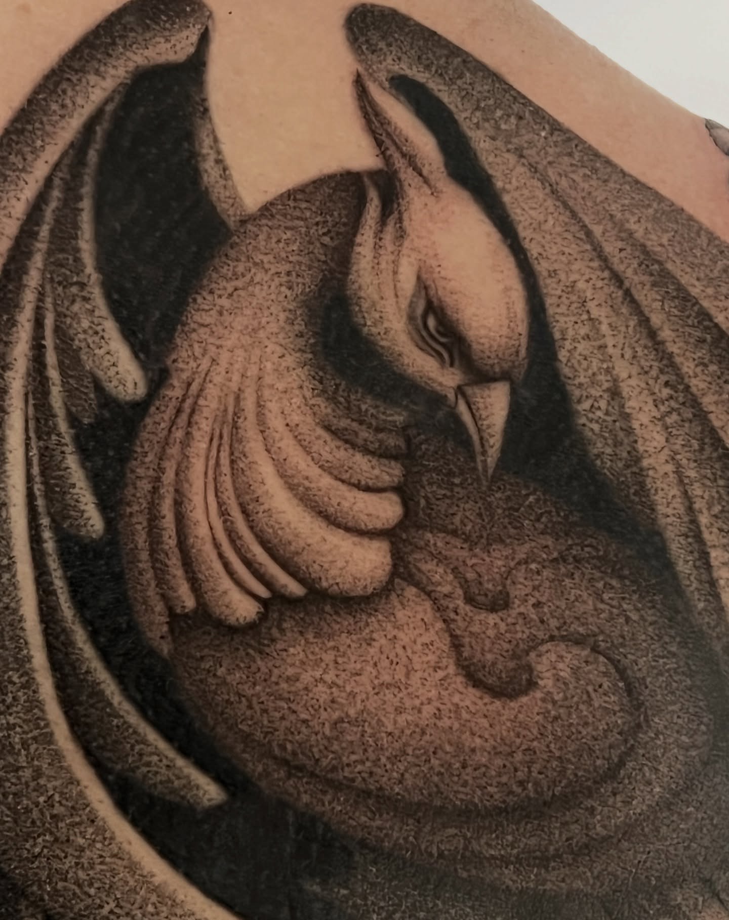 Bird dotwork tattoo by 𝑱𝒖𝒍𝒊𝒂𝒏𝒏𝒂 𝑴𝒆𝒏𝒏𝒂✥𝑷𝒉𝒊𝒍𝒂𝒅𝒆𝒍𝒑𝒉𝒊𝒂✥𝑩𝒍𝒂𝒄𝒌 𝒂𝒏𝒅 𝑮𝒓𝒂𝒚