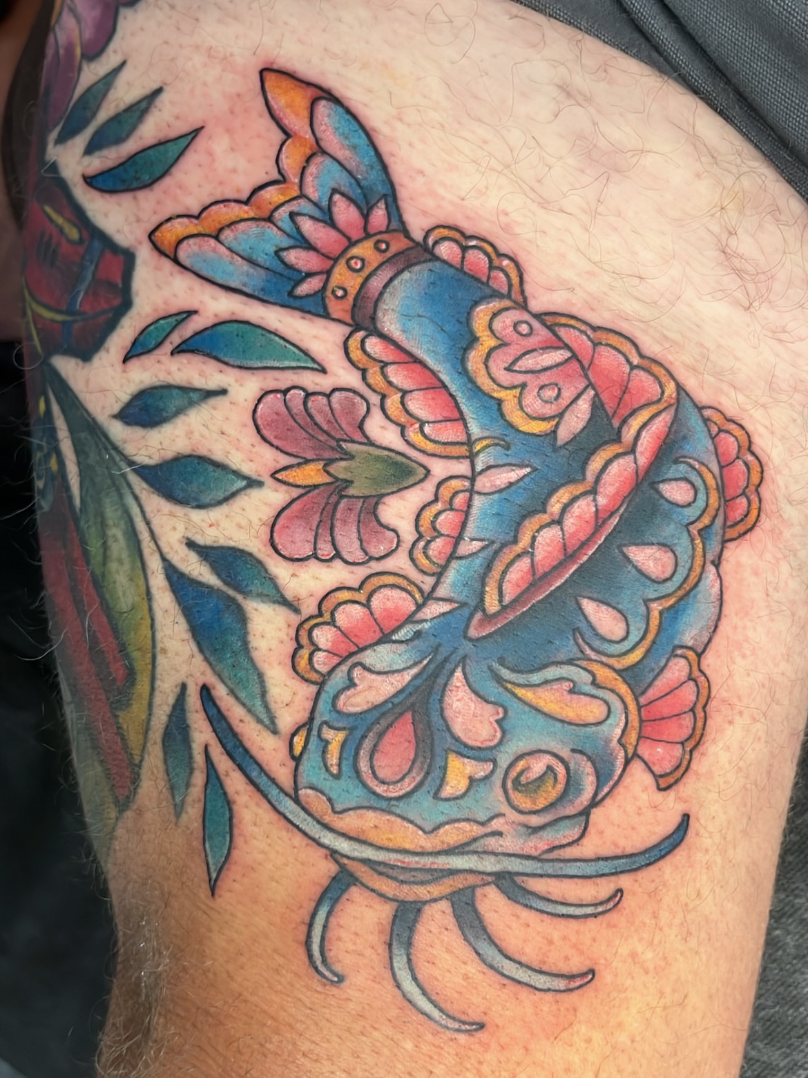 Tattoo by @caitoscreations — american_traditional, new_school