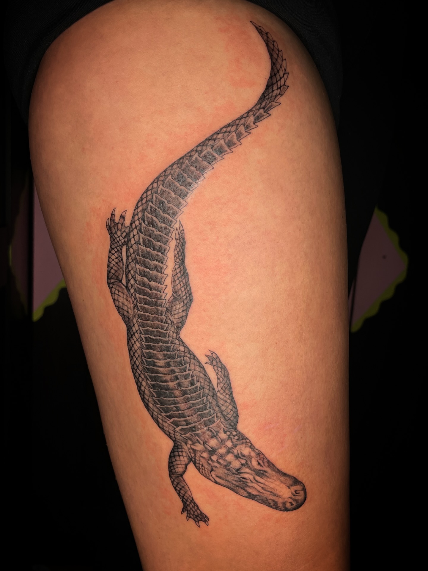 Alligator black and grey tattoo on the thigh by Eryn, Portland, Oregon