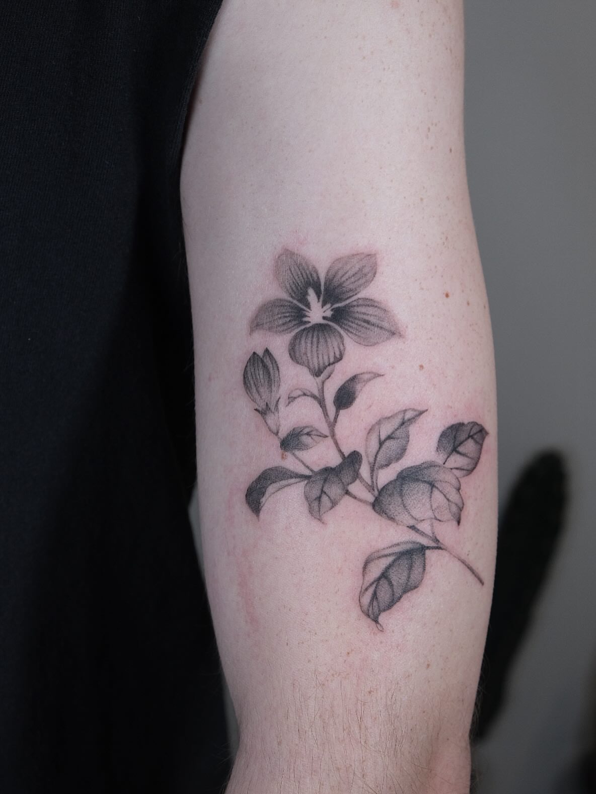 Flower black and grey tattoo on the forearm by macie ❥ austin tattoo artist, Austin, Texas