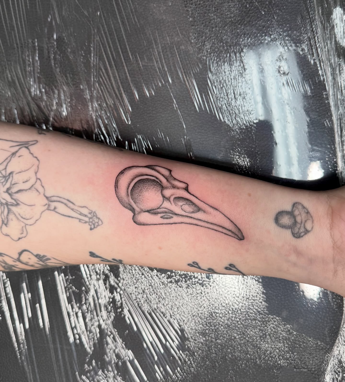 Bird skull dotwork tattoo on the forearm by Shay - Mandeville Tattoo Artist