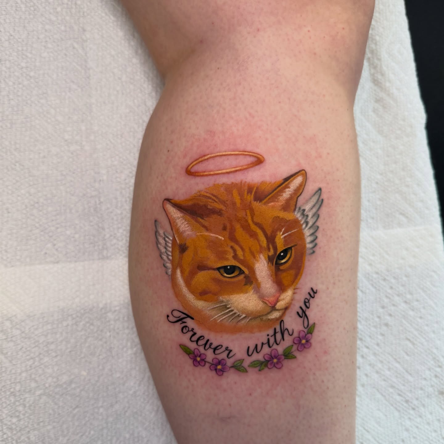 Cat realism tattoo on the forearm by Pat Patterson Florida Tattoo Artist