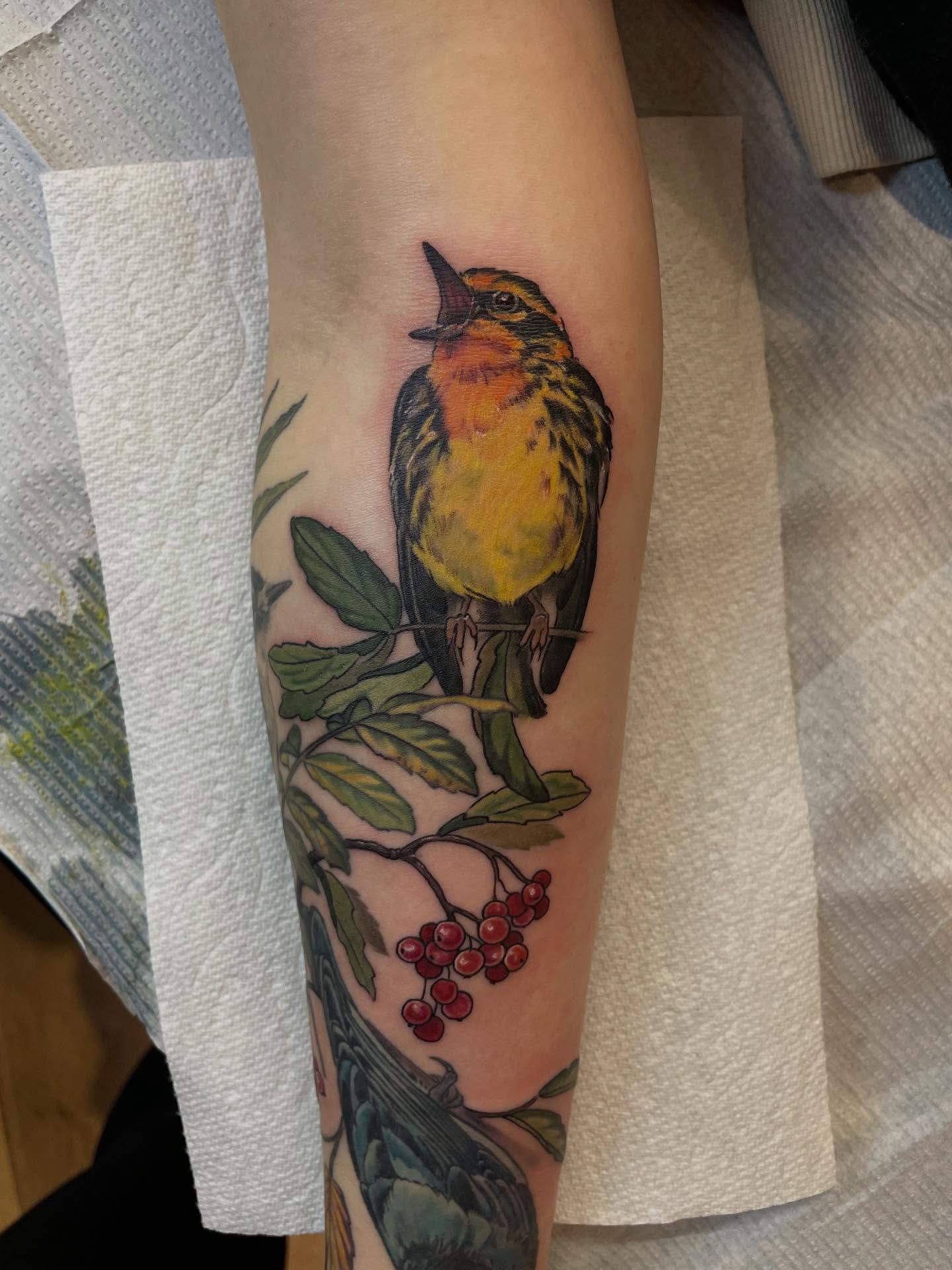 Tattoo by @tattoosbyhayven — realism