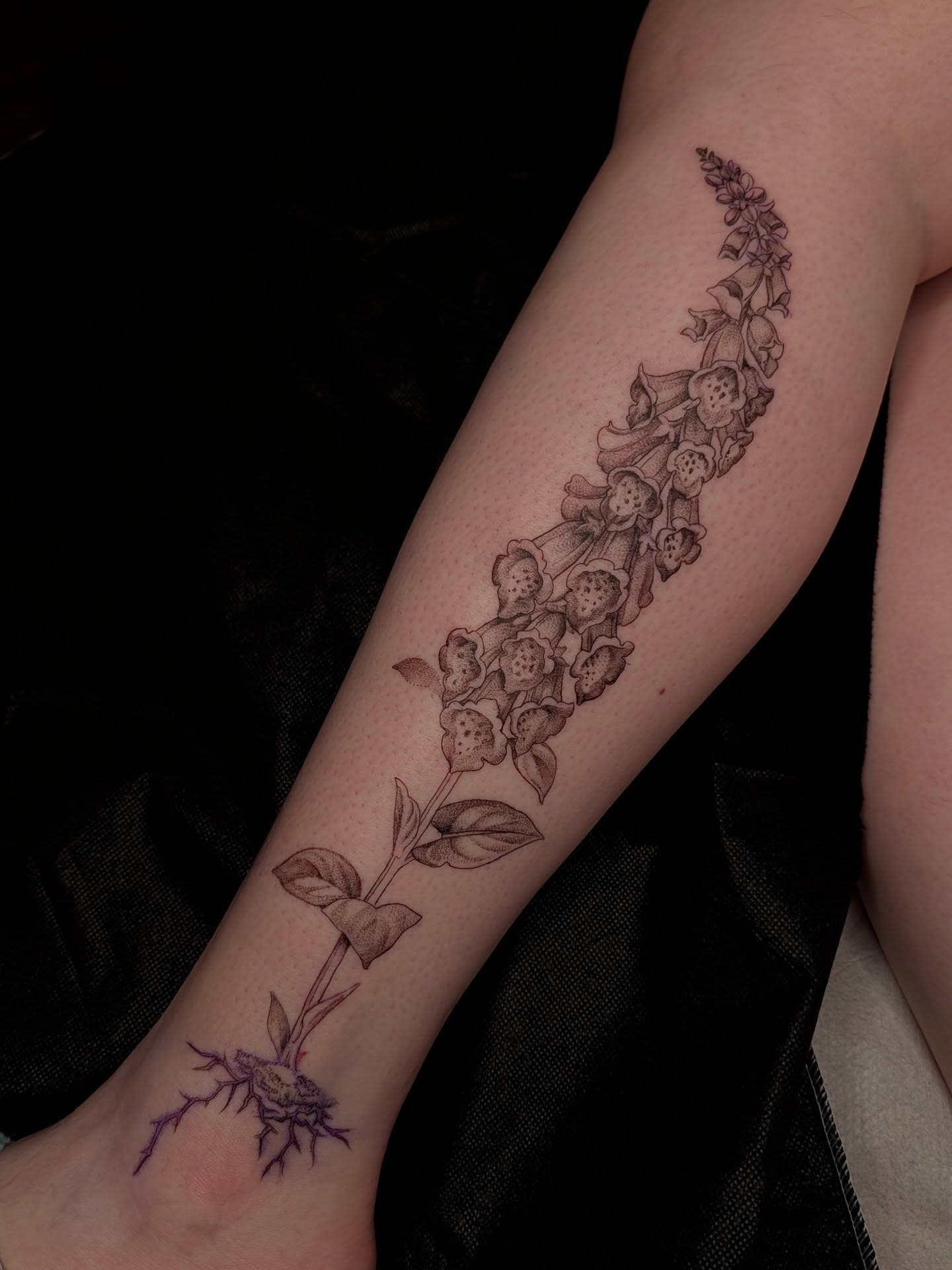 Foxglove plant black and grey tattoo on the forearm by Jeanine, Providence, Rhode Island