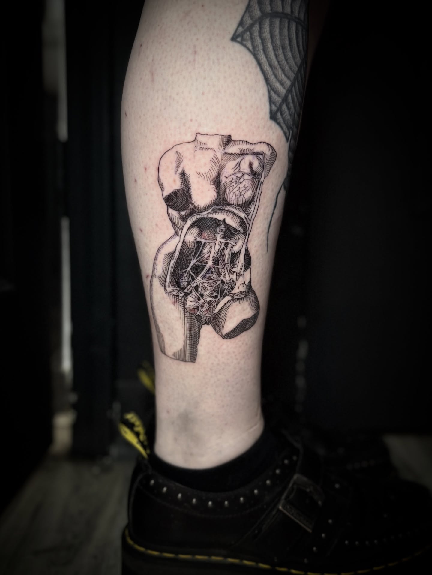 Anatomical heart realism tattoo on the forearm by † Aileen † Chicago Tattoo Artist