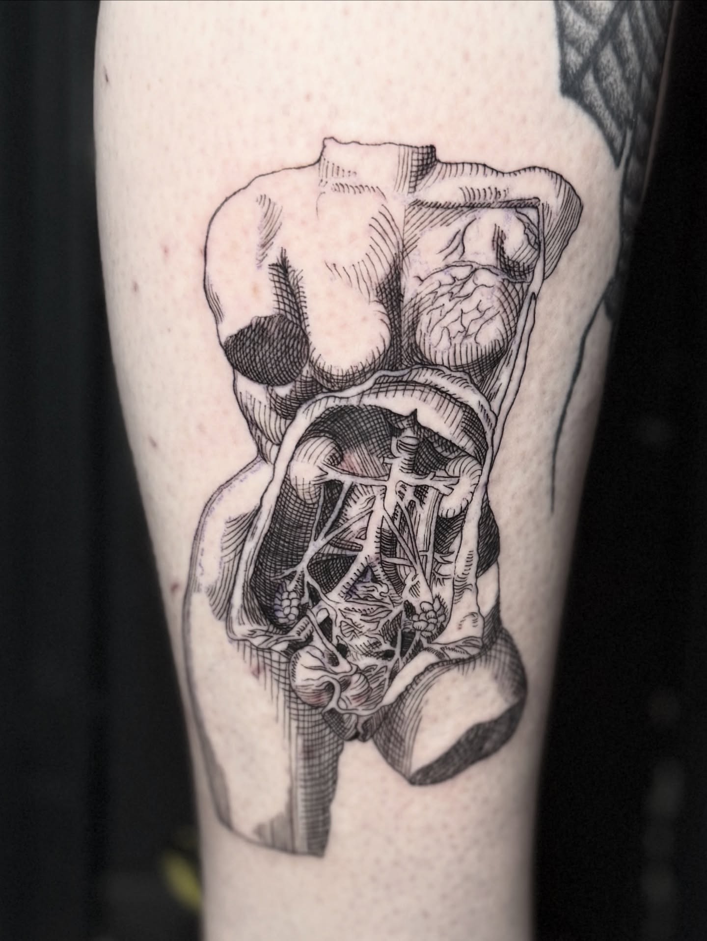 Anatomical organs black and grey tattoo on the forearm by † Aileen † Chicago Tattoo Artist