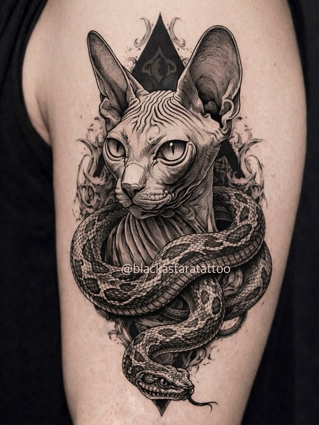Sphynx cat with snake realism tattoo on the forearm by @blackastaratattoo