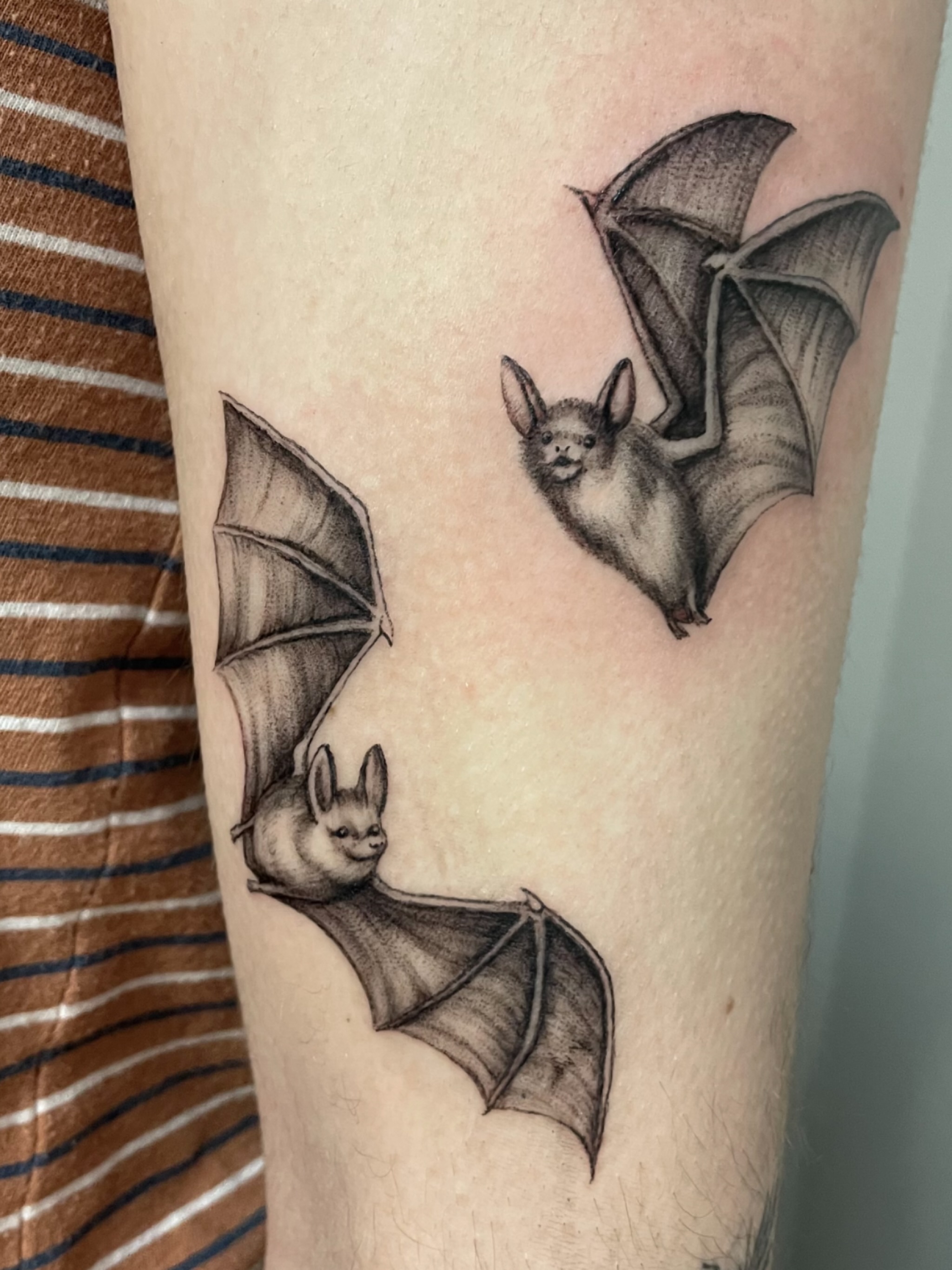 Bats realism tattoo on the forearm by @tatts_by_kat