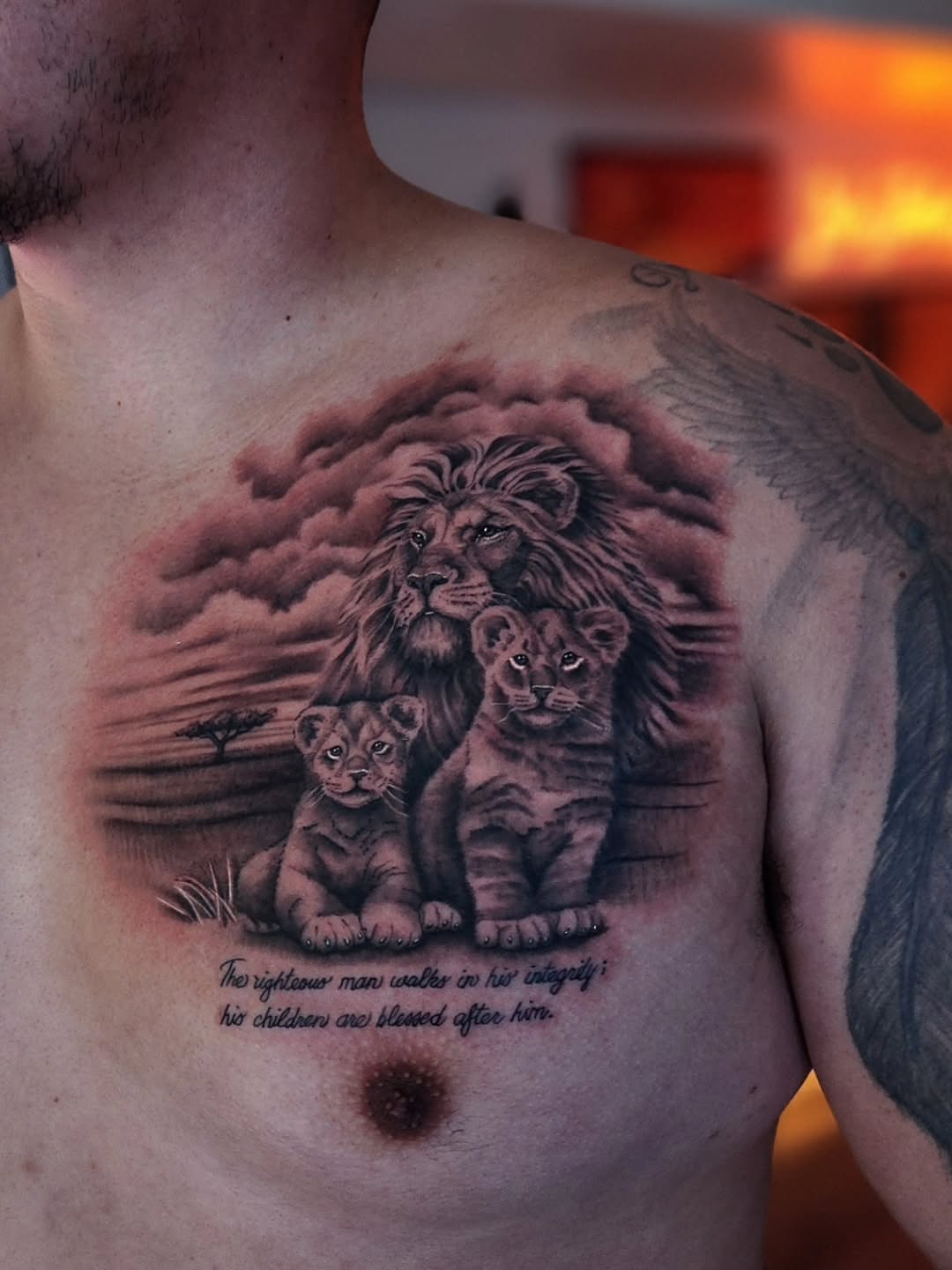 Lion family realism tattoo on the chest by Luke Jordan Ink, Louisville, Colorado
