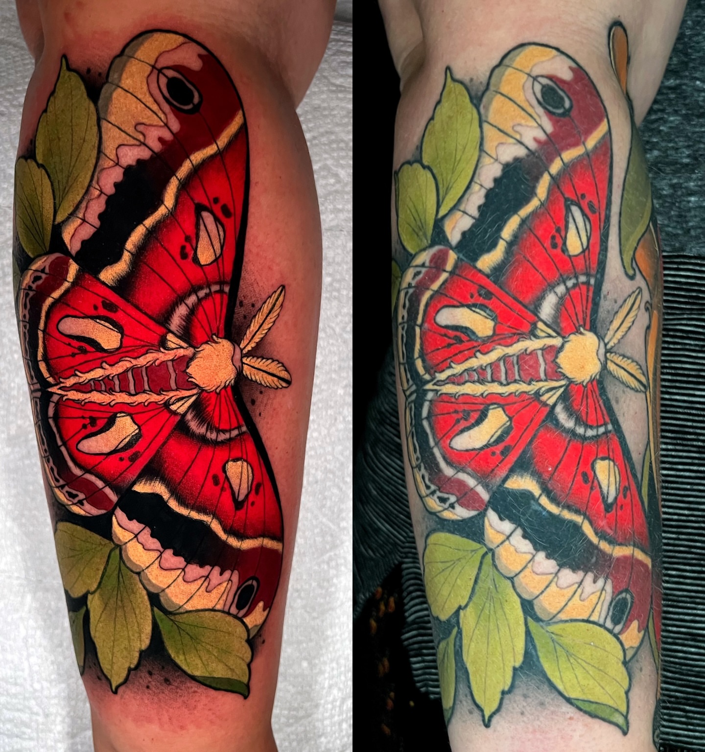 Butterfly American traditional tattoo on the forearm by Skyler Miller