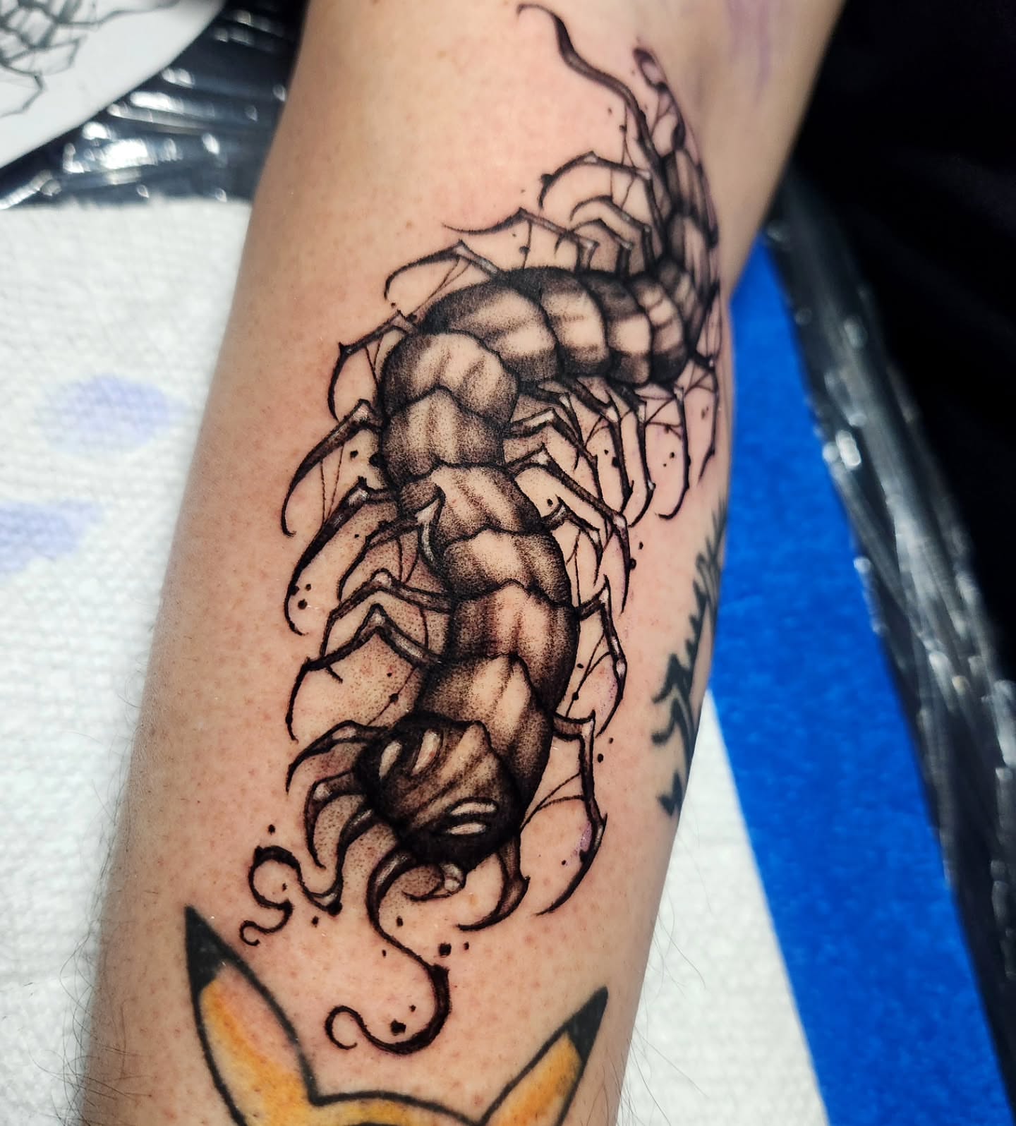 Centipede black and grey tattoo on the forearm by Abby Renteria