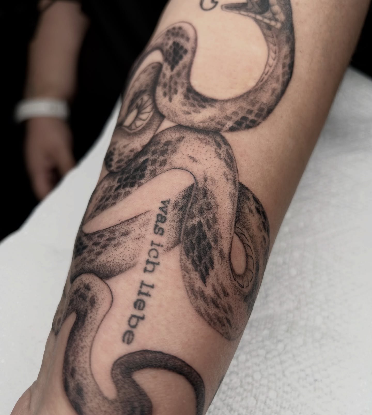 Tattoo by @savmaxtatz โ dotwork, realism