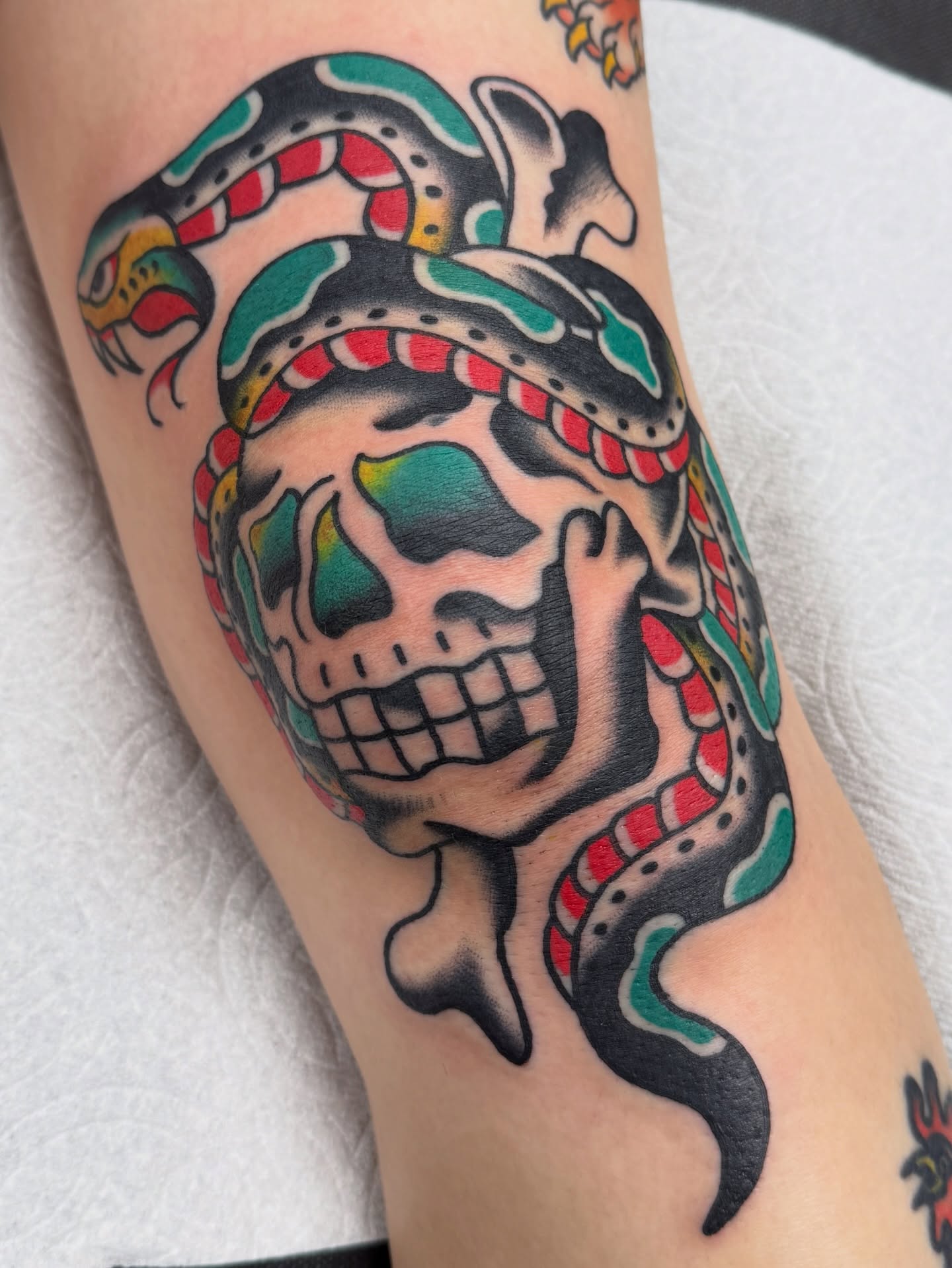 Skull with snake American traditional tattoo on the forearm by Joey Burdette Tattoos