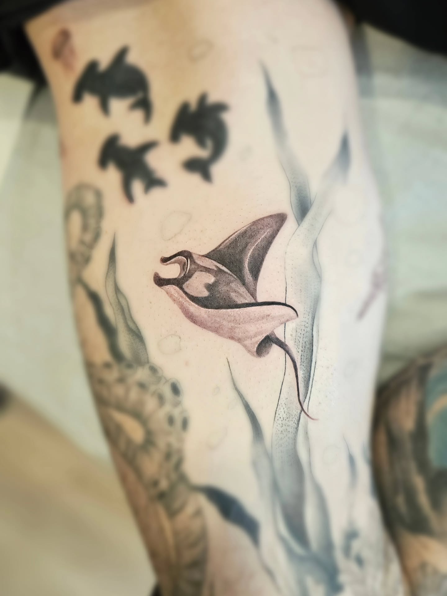 Manta ray realism tattoo on the forearm by TaylorLeighShermanTattoos OFFICIAL