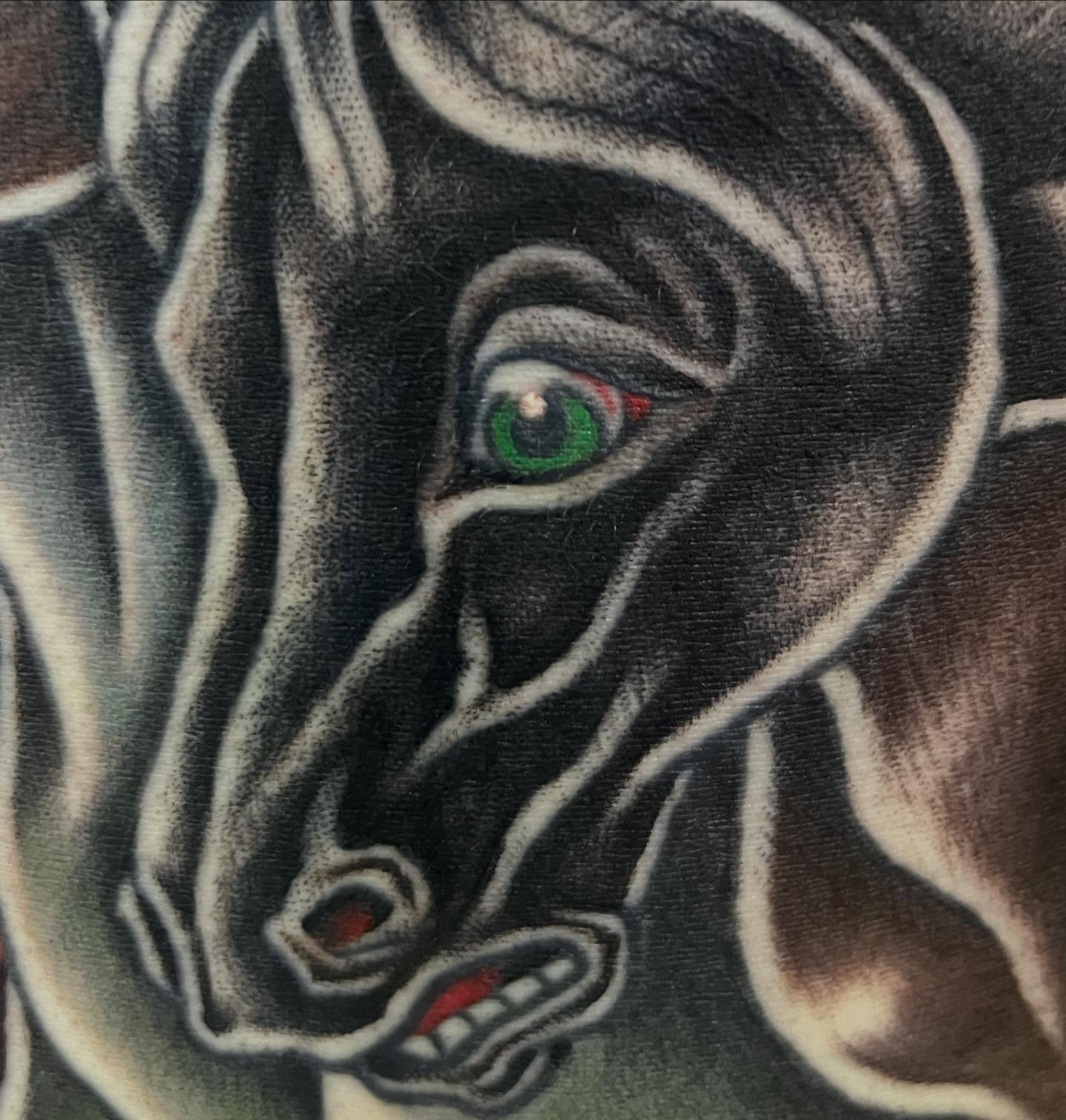Zebra American traditional tattoo by Allie Tippets, Gilbert, Arizona