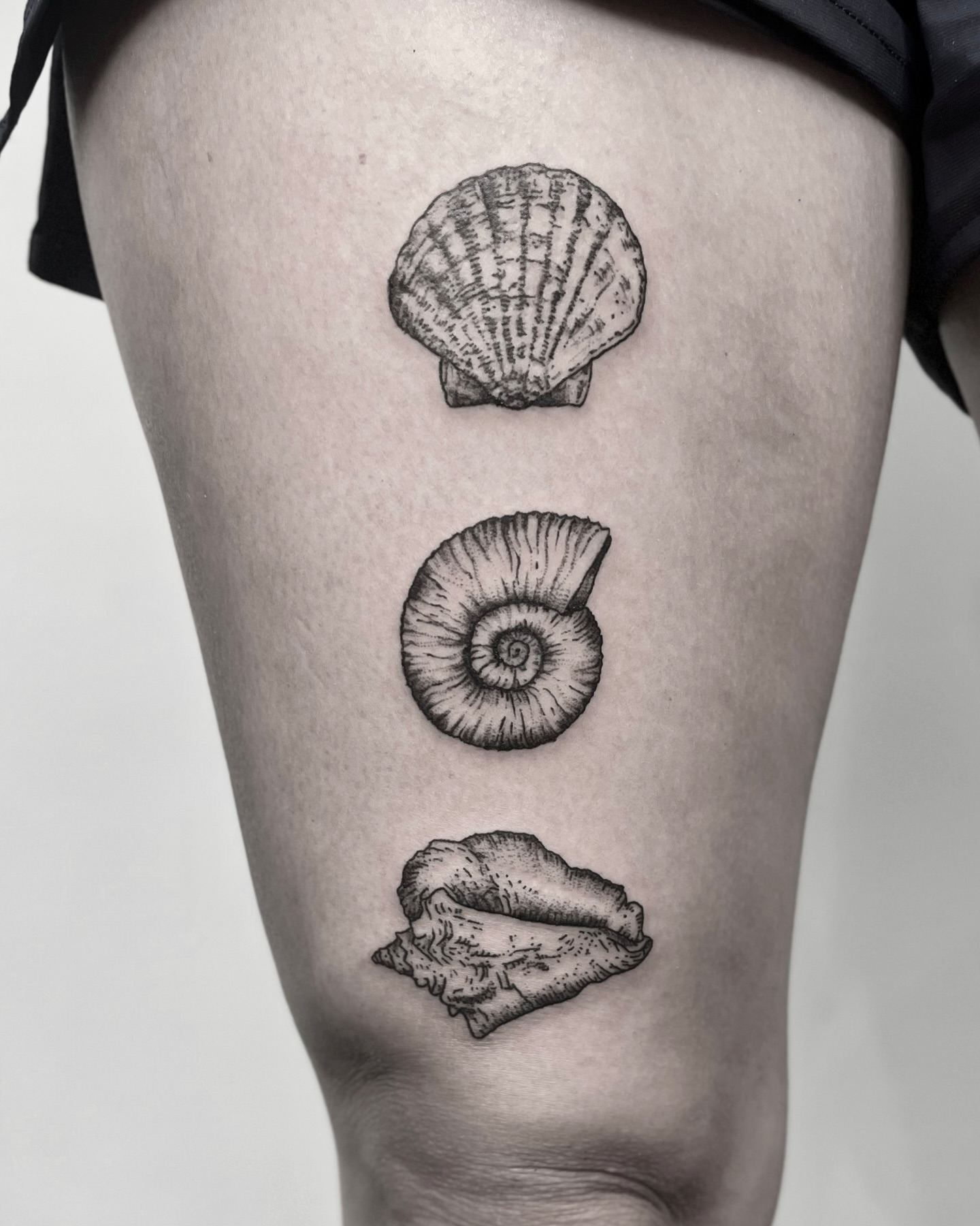 Seashells realism tattoo on the thigh by Tattoo Artist, Philadelphia, Pennsylvania