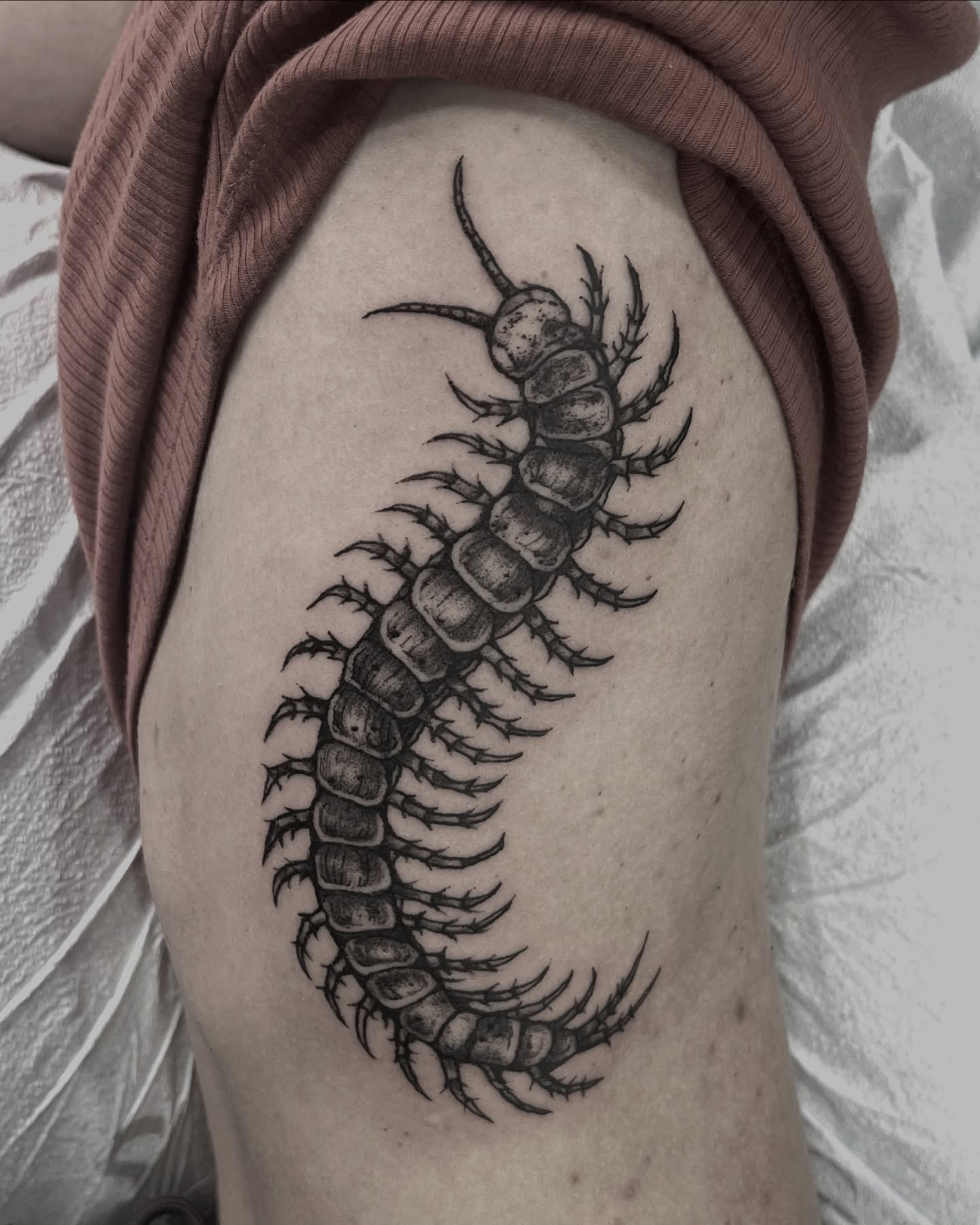 Centipede black and grey tattoo on the thigh by Tattoo Artist, Philadelphia, Pennsylvania