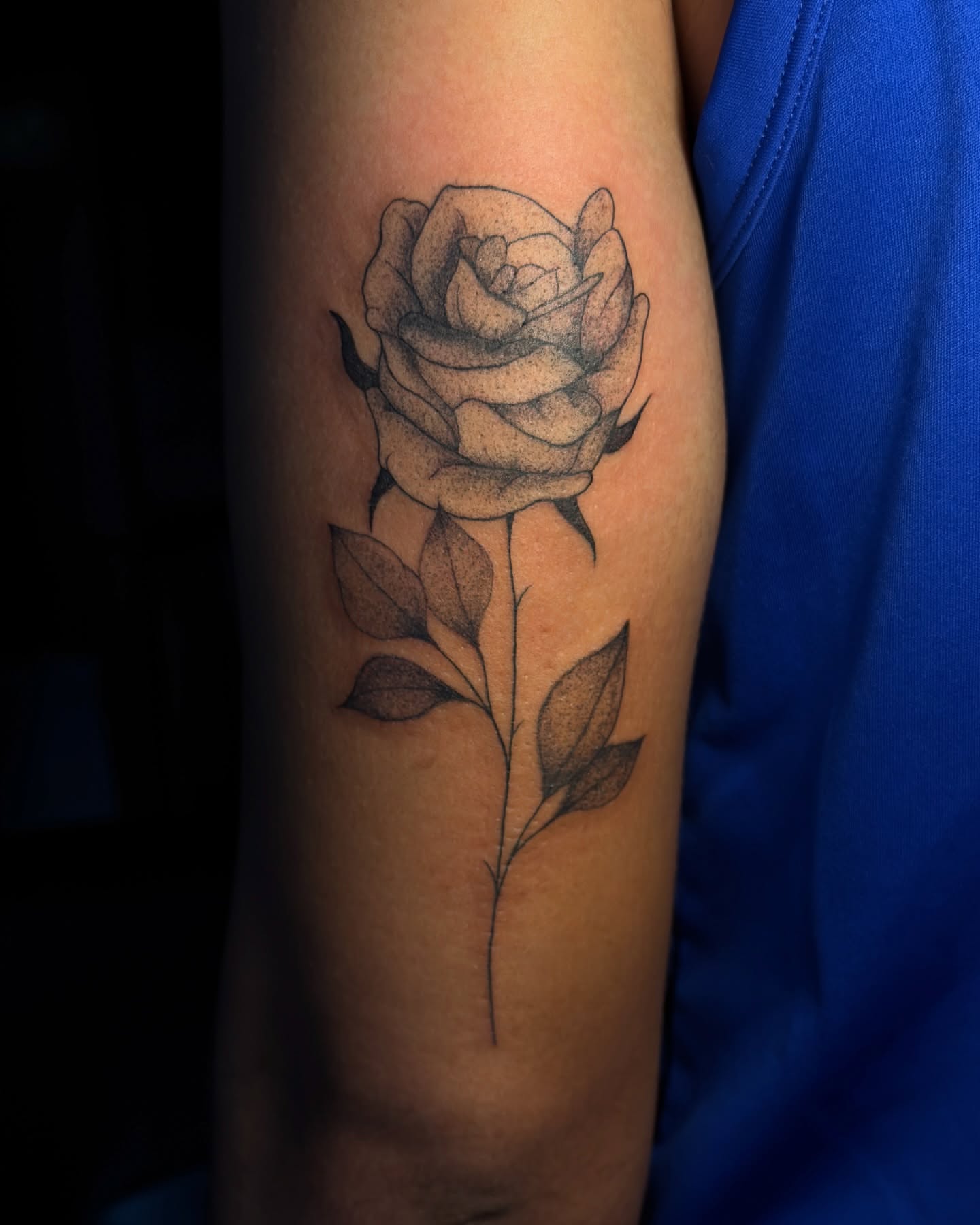 Rose dotwork tattoo on the forearm by ollie b ⋆⟡⋆, Dayton, Ohio