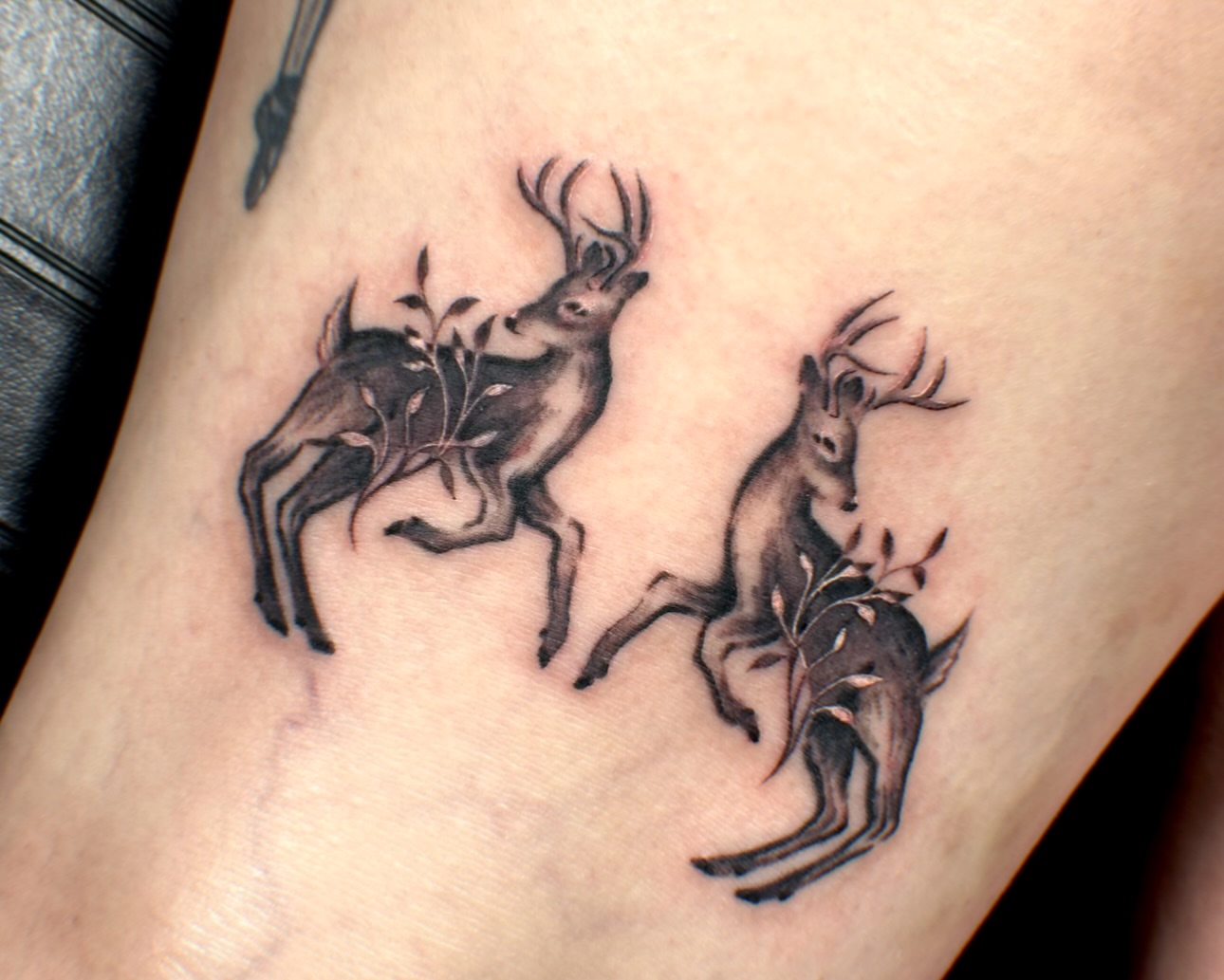 Tattoo by @bogwitchtattoos โ black_and_grey