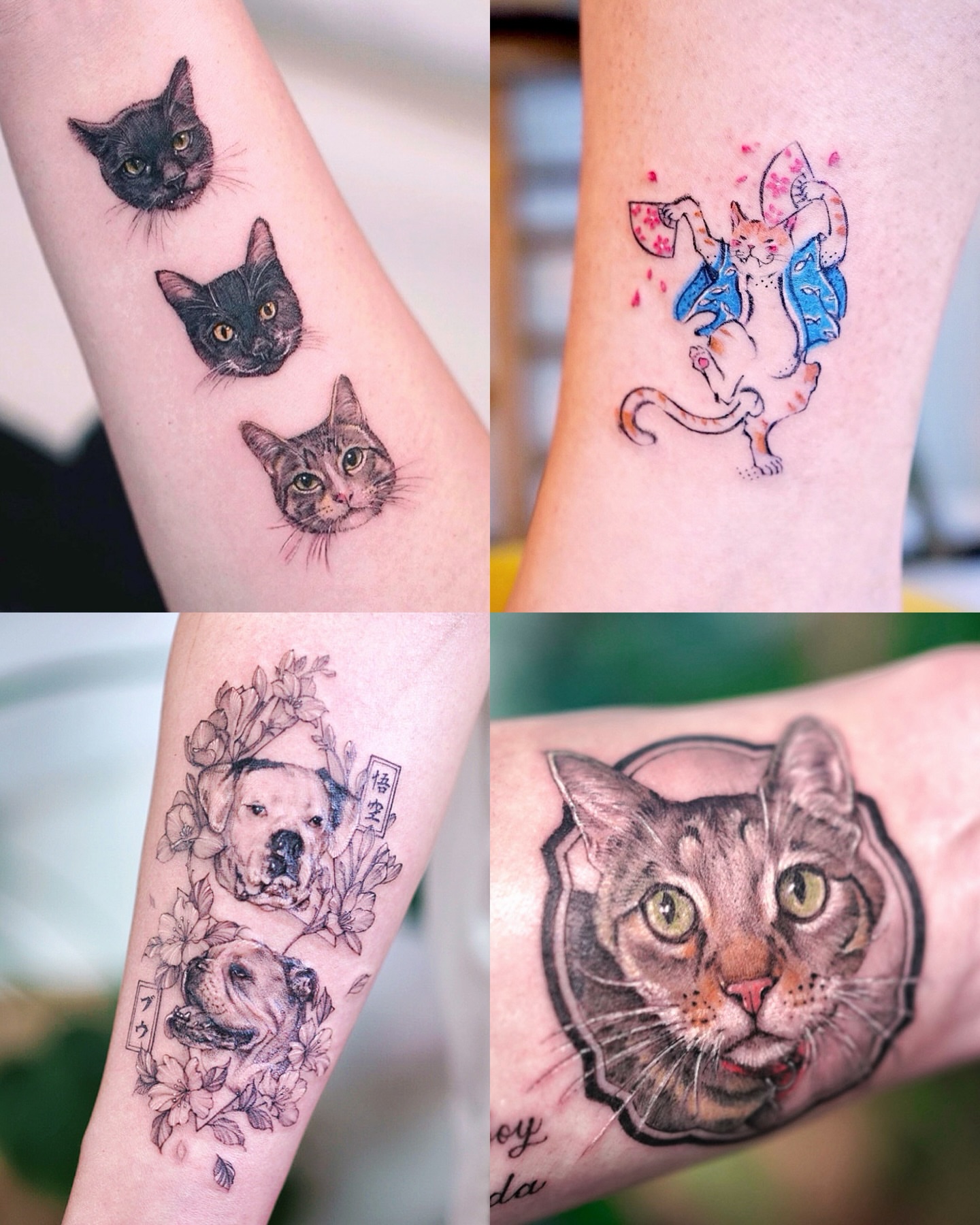 Cat realism tattoo on the forearm by Lily, Los Angeles, California
