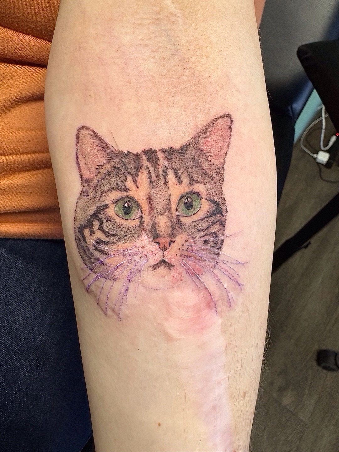 Cat realism tattoo on the forearm by Cortnie, Nashville, Tennessee
