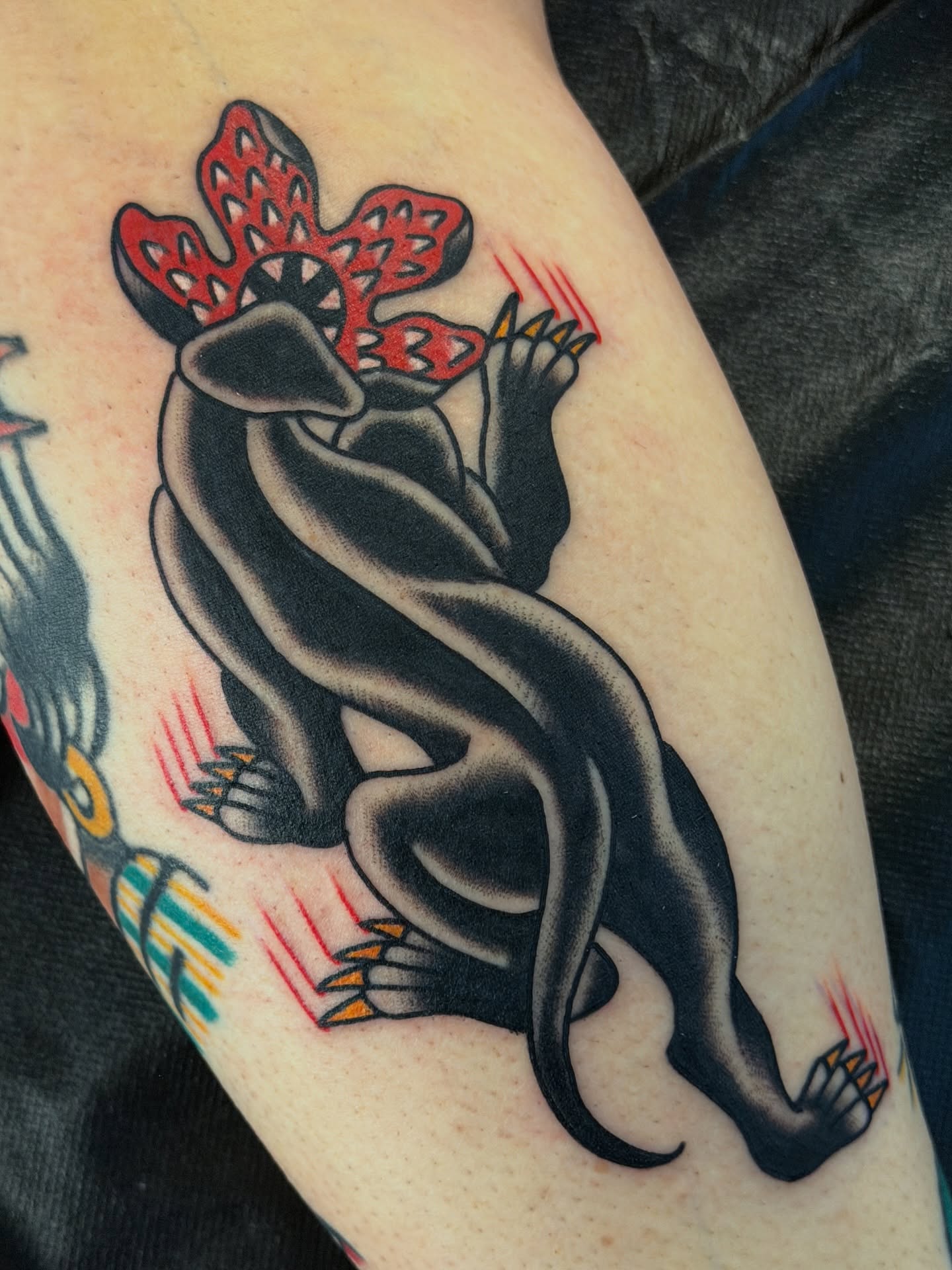 Weasel with heart American traditional tattoo on the forearm by Cory Craft