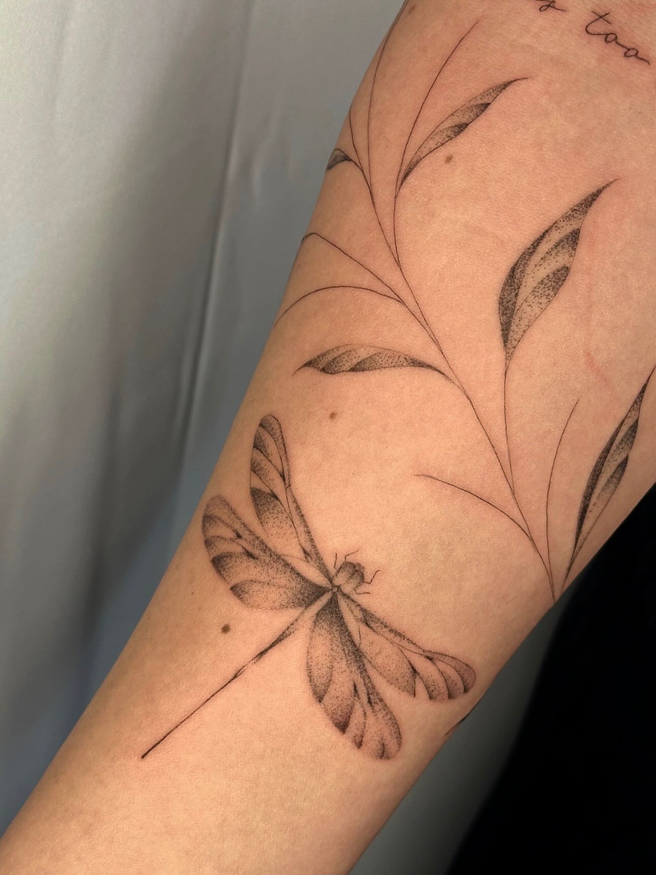 Tattoo by @margsmagic — dotwork, realism