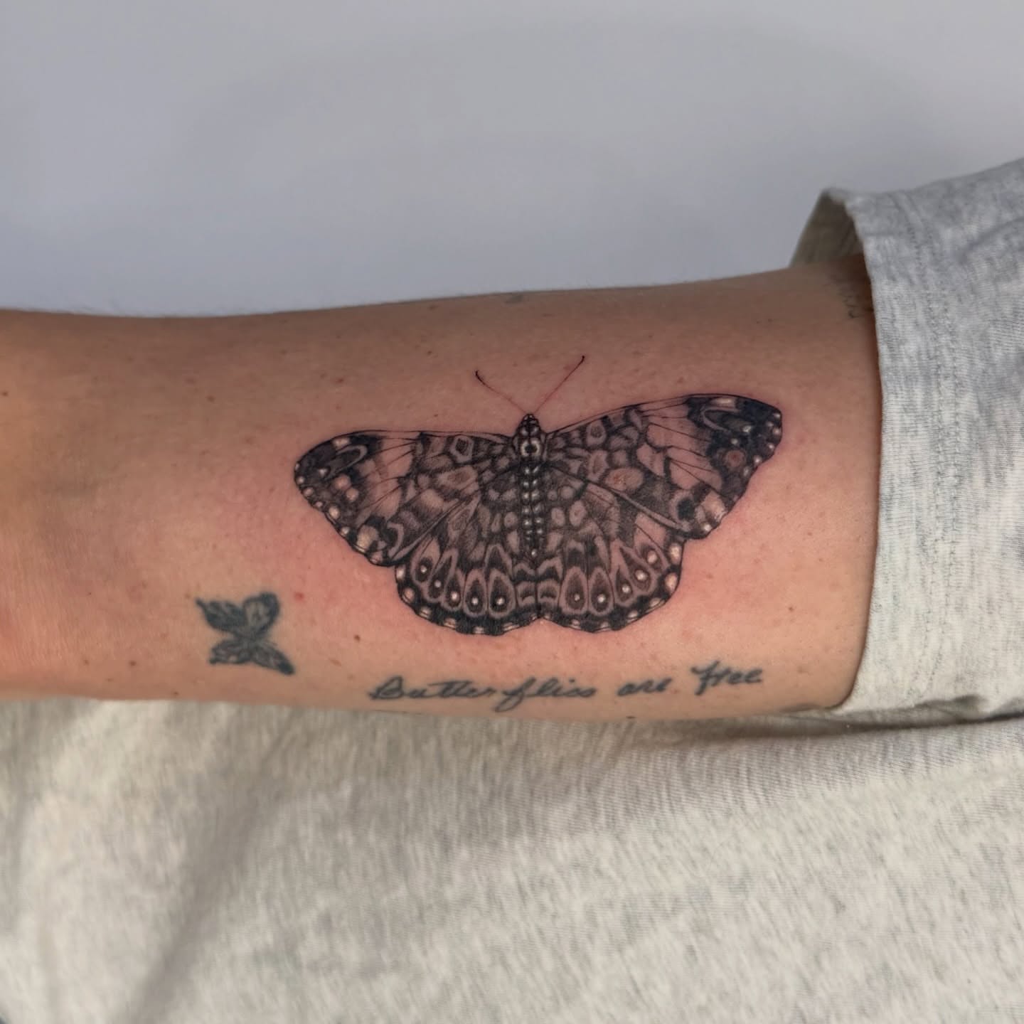 Butterfly dotwork tattoo on the forearm by bre