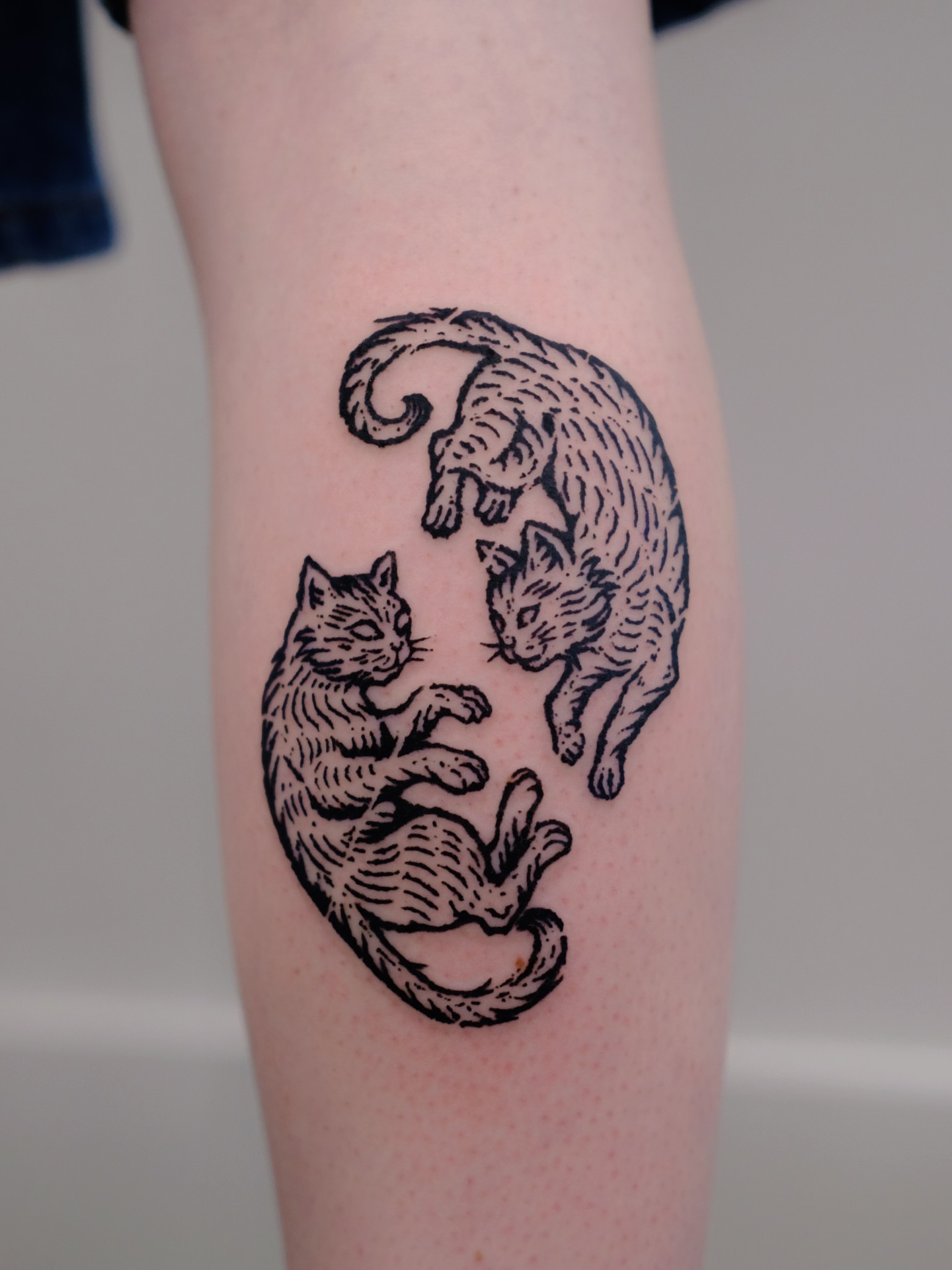 Cats black and grey tattoo on the forearm by ꜰʟᴏʀᴀ ᴡᴏᴏᴅᴄᴜᴛ ᴛᴀᴛᴛᴏᴏ