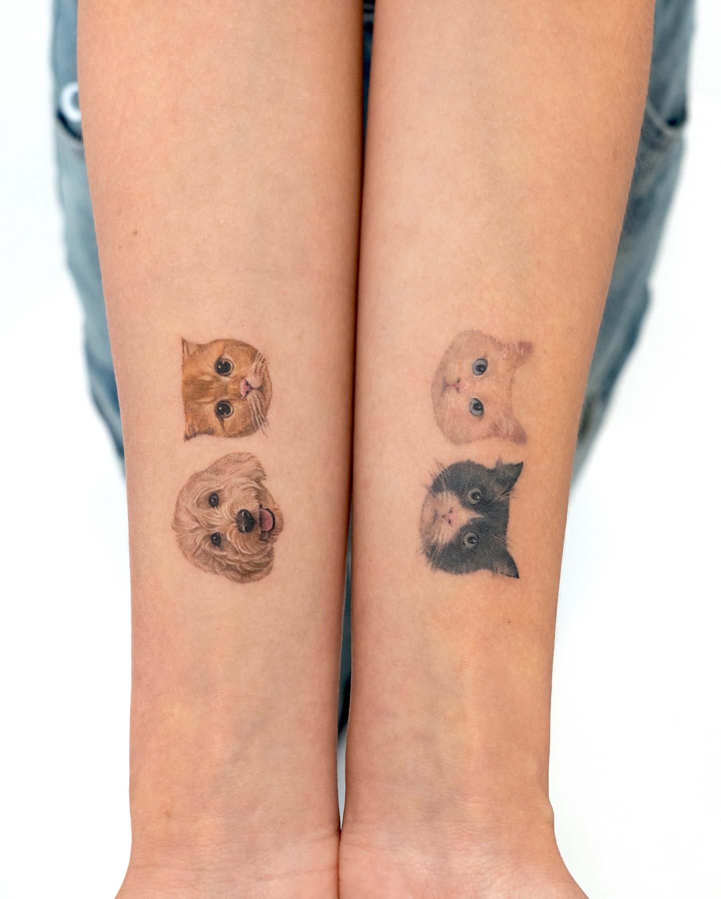 Cat faces realism tattoo on the forearm by Zeeyo 지요