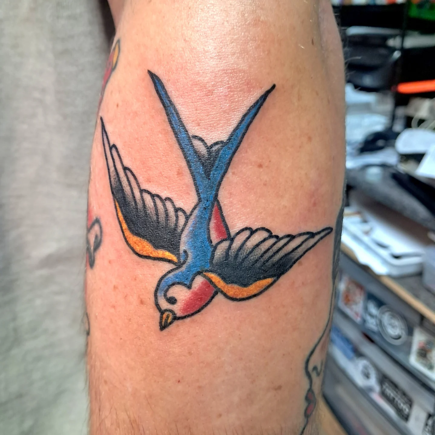 Swallow American traditional tattoo on the forearm by Reb Fularz