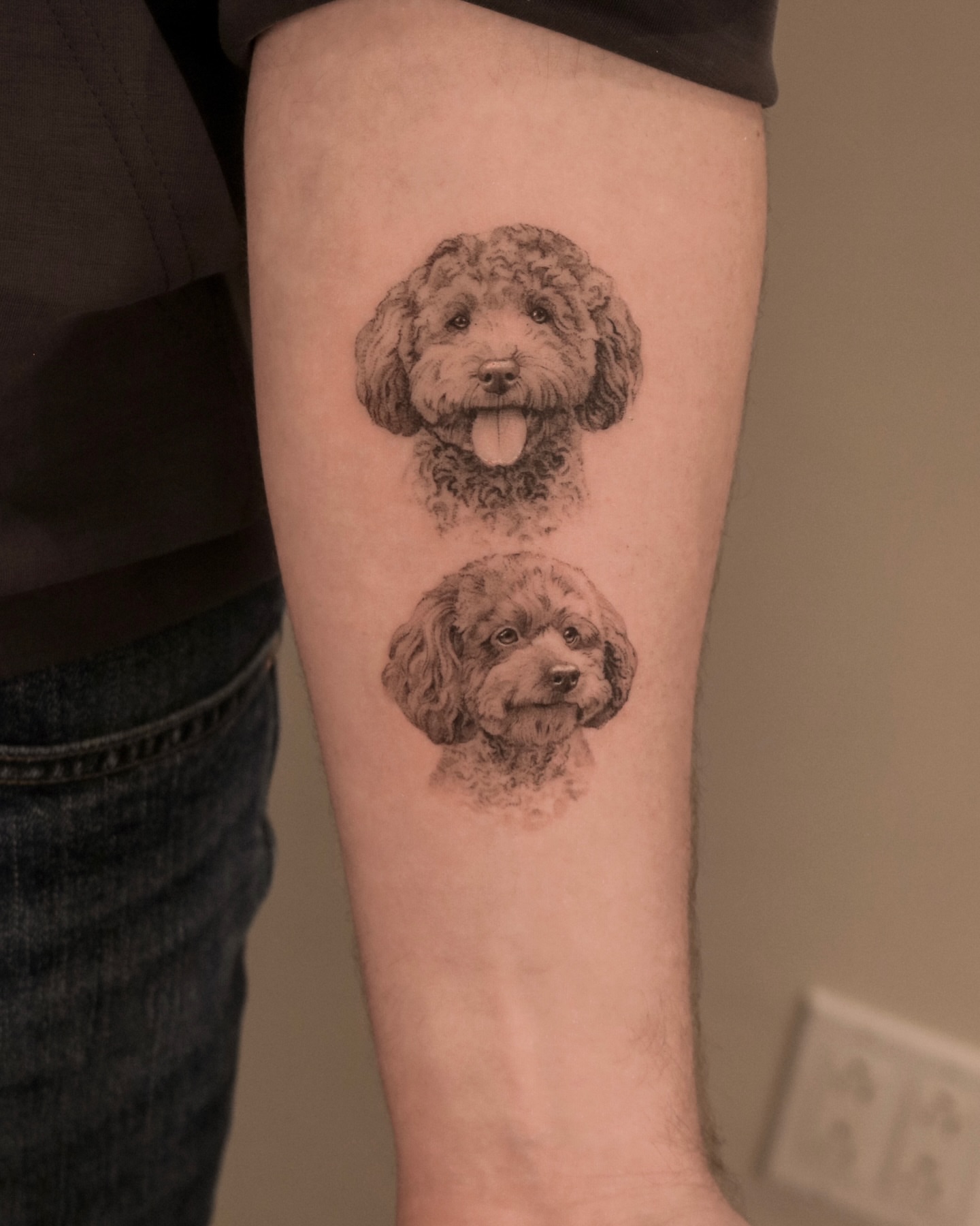Poodle realism tattoo on the forearm by Nicholas Solomon