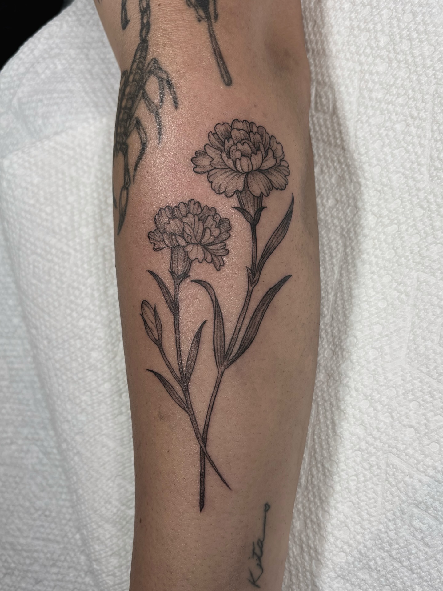 Carnation flowers black and grey tattoo on the forearm by Fineline tattoos by Kinsey