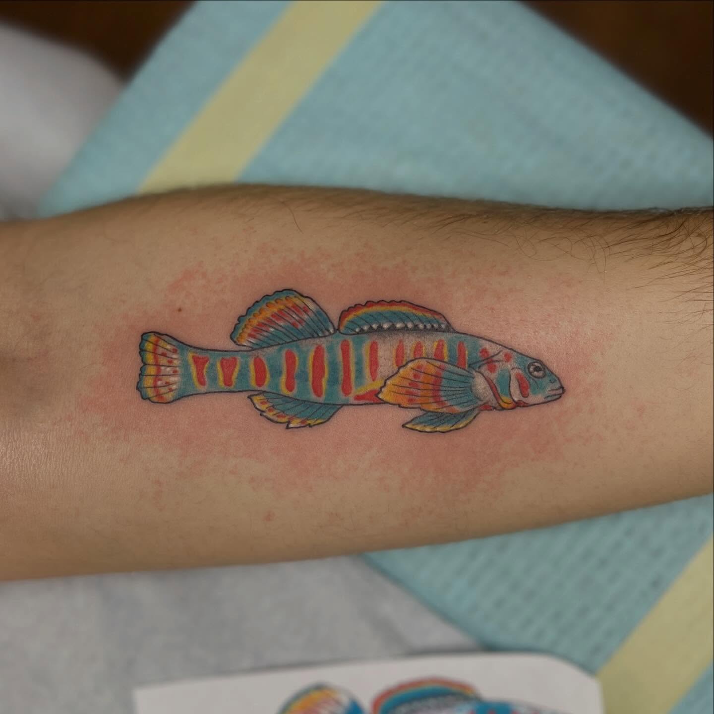 Tattoo by @sullivangiles — new_school