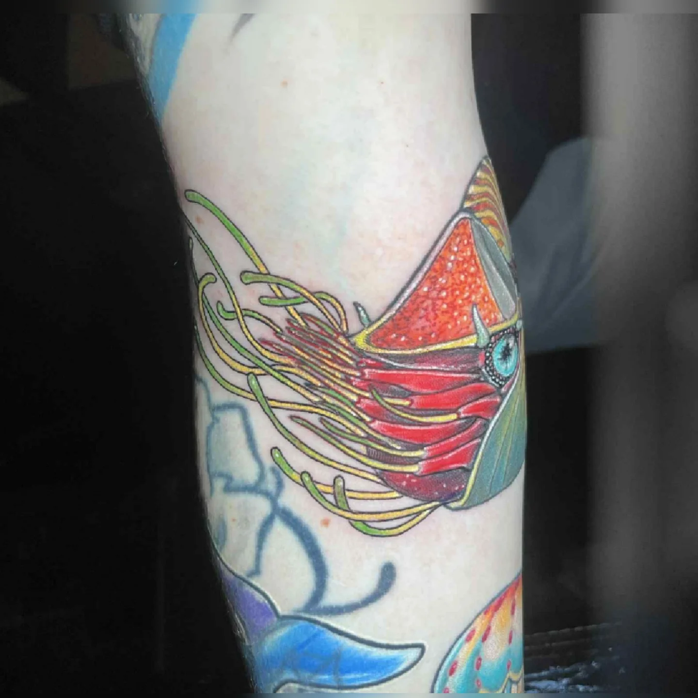 Tattoo by @nason_dilts_tattoo — new_school, illustrative