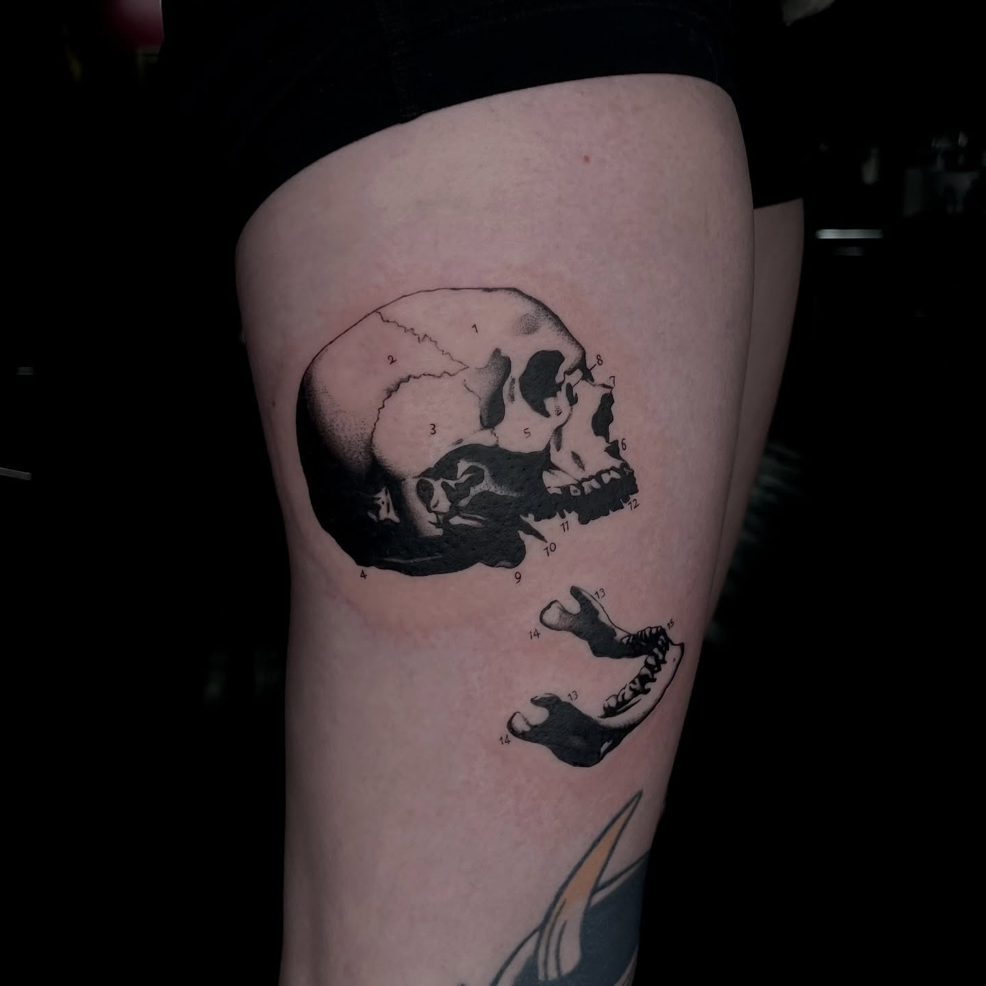 Skull black and grey tattoo on the thigh by ✩gracie ⋆｡°✩