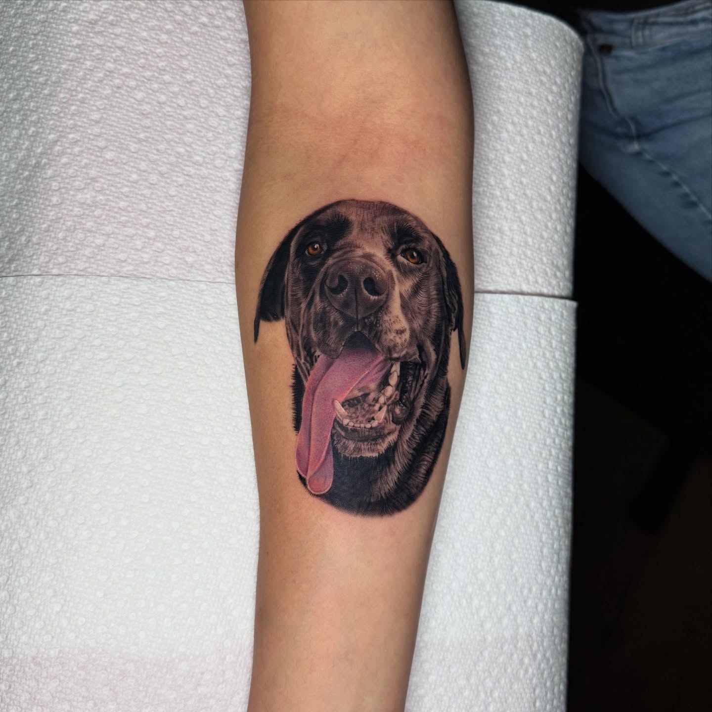 Dog realism tattoo on the forearm by Tiffany Bauer